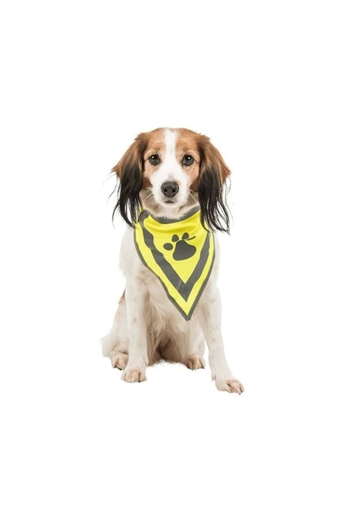ShopNova Trixie Köpek Bandanalı Tasma Small 22-28 Cm