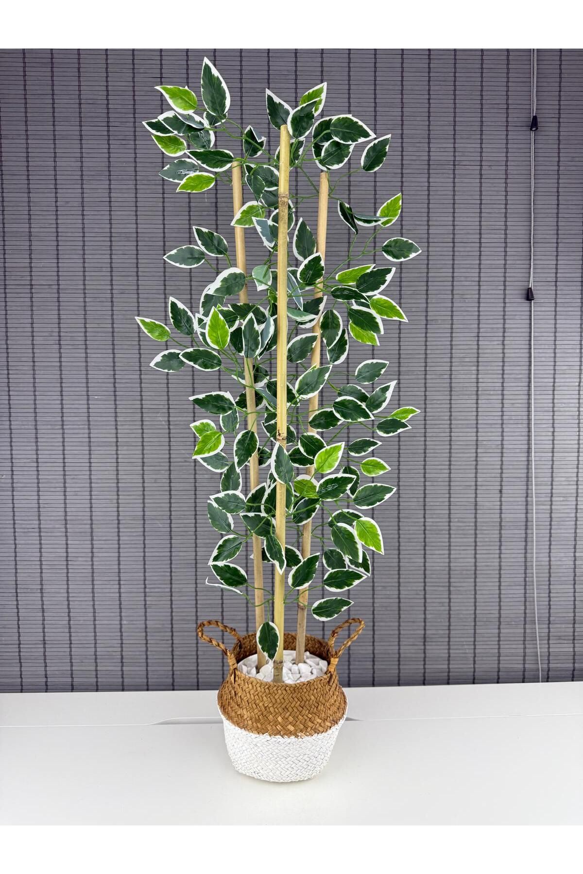 Bahçem Dekoratif Yapay Yapraklı Natural-Beyaz Hasır Bambu Sepetli Dekoratif Benjamin Ağacı 100cm