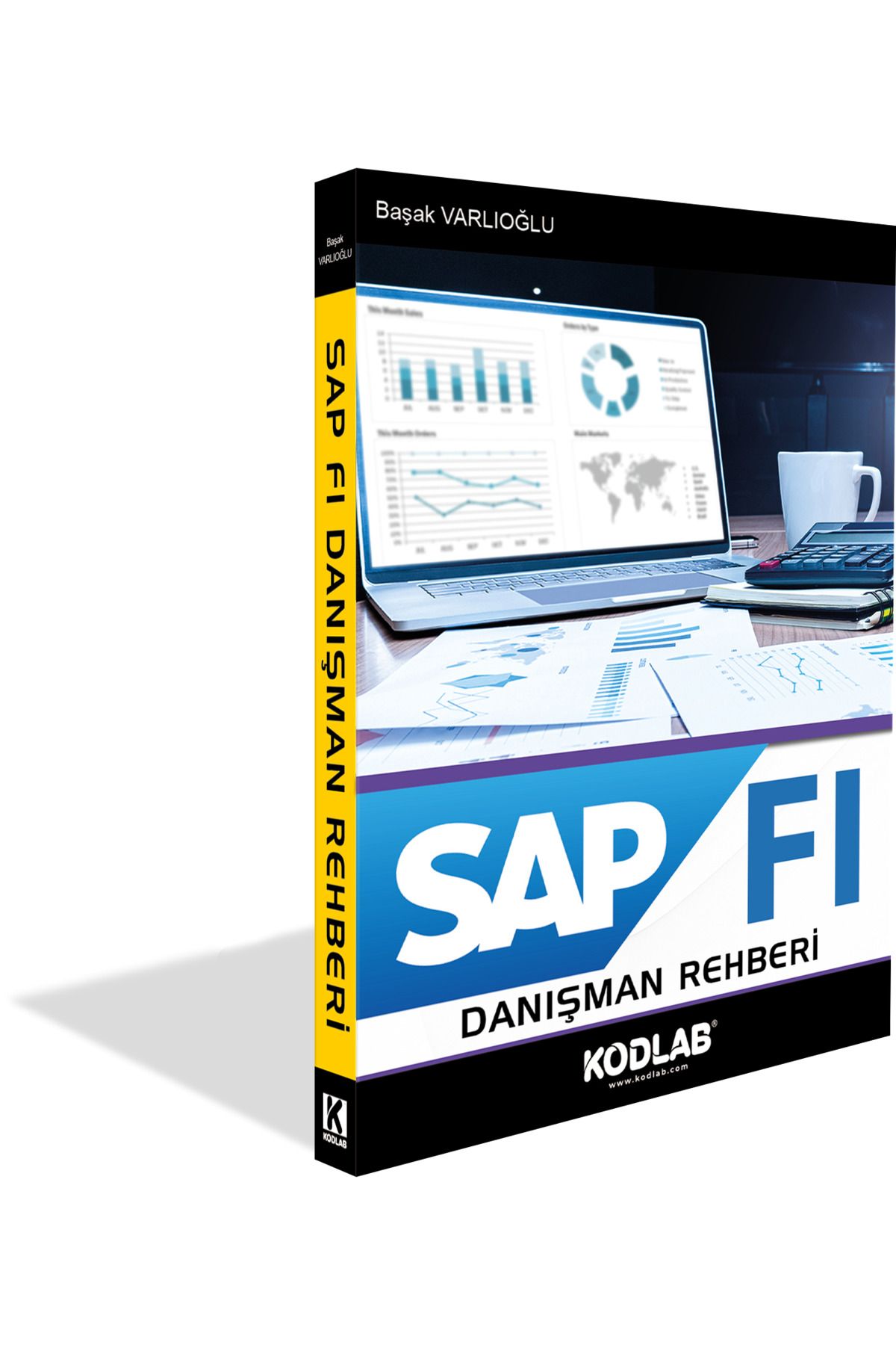 Kodlab Yayın Dağıtım SAP FI DANIŞMAN REHBERİ