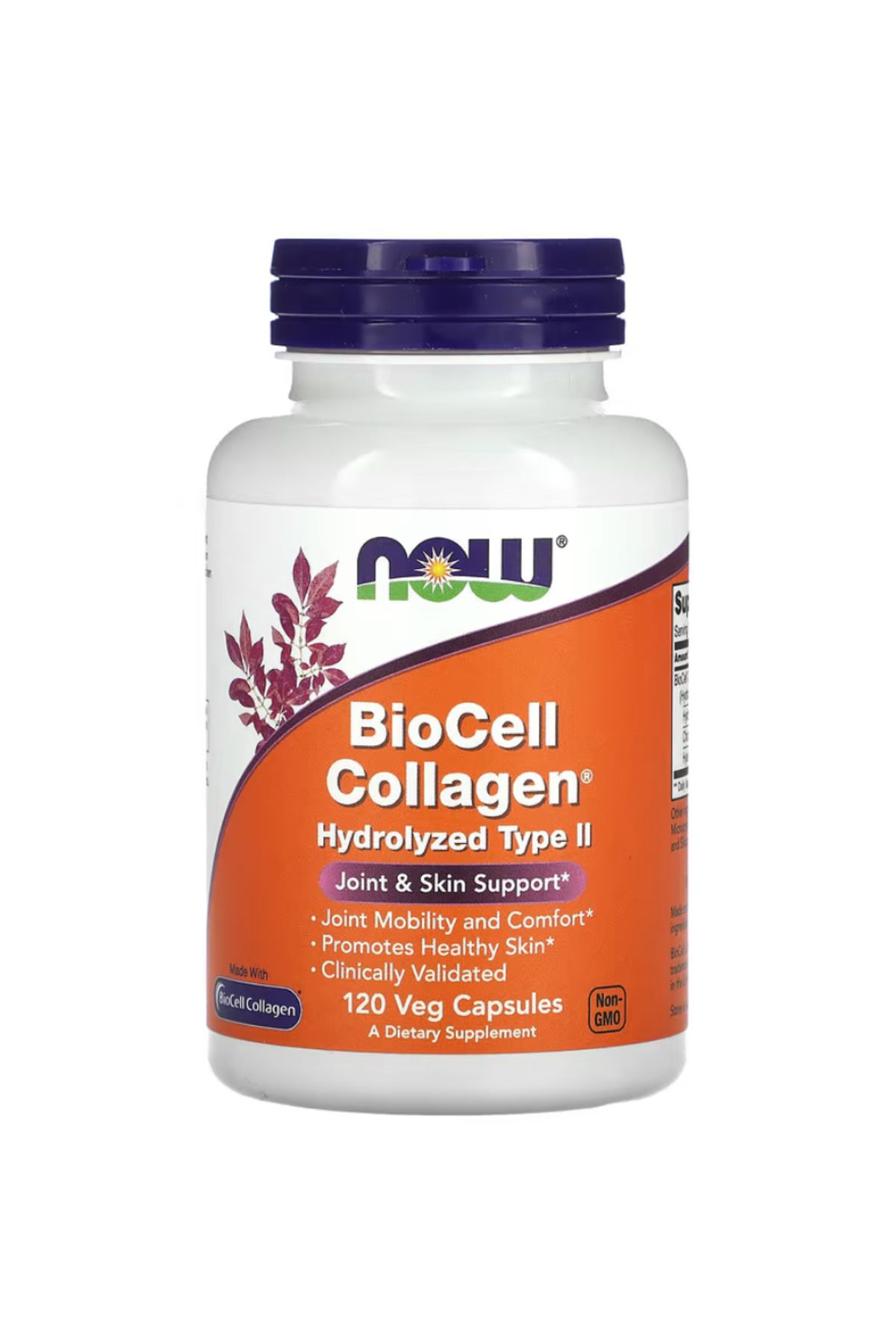 Now Foods , BioCell Collagen, Hydrolyzed Type II, 120 Veg Capsules