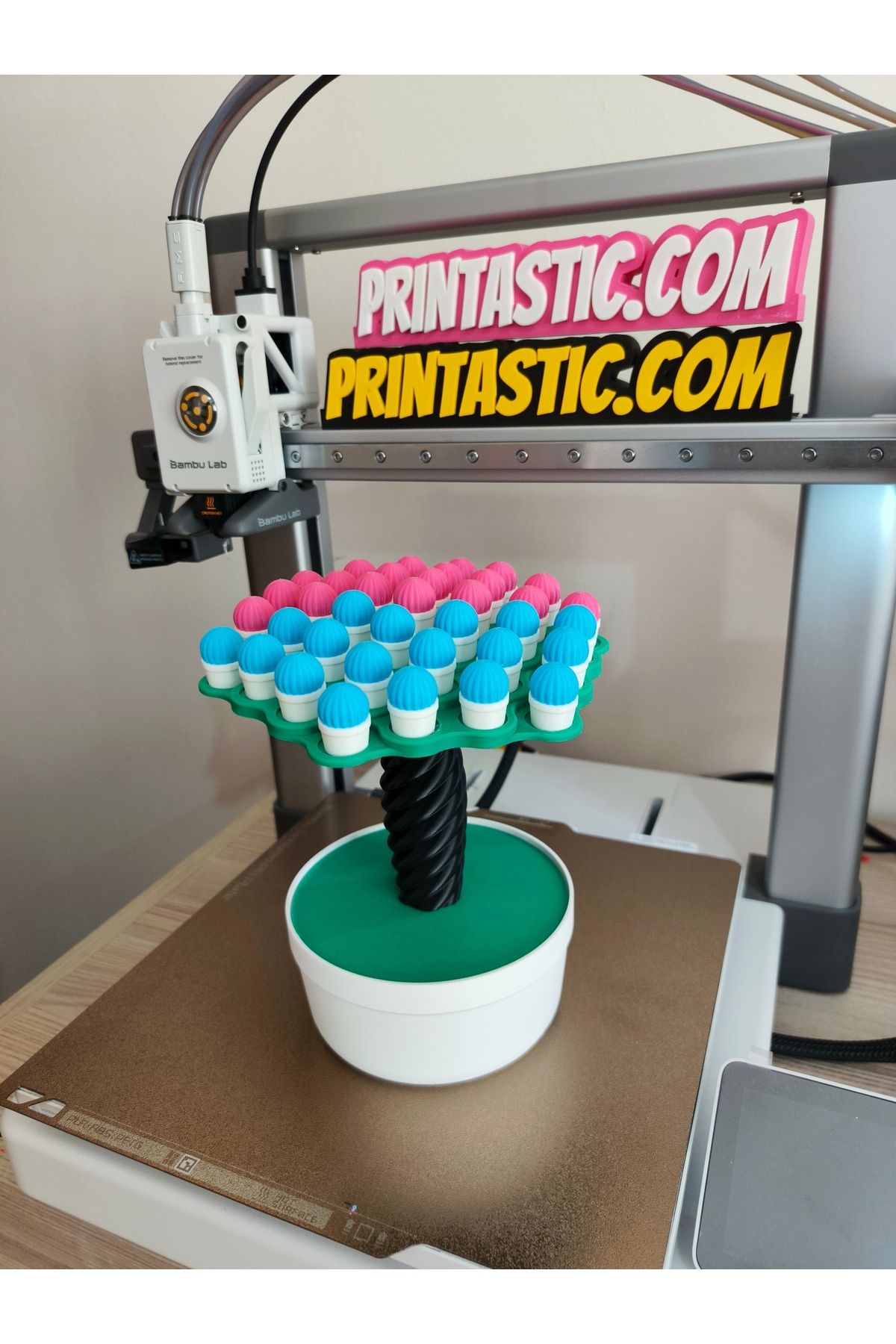 printastic Popüler Aile Denge Oyunu
