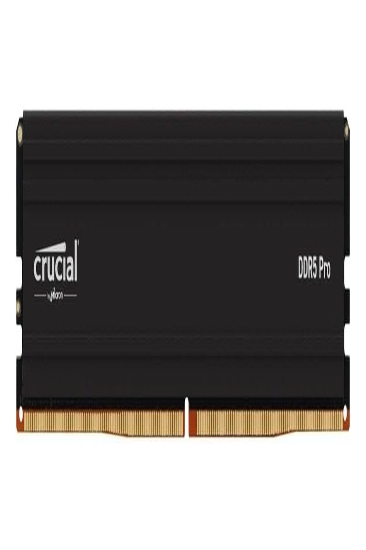 Crucial Pro 48GB DDR5-5600 CL46 UDIMM Arbeitsspeicher