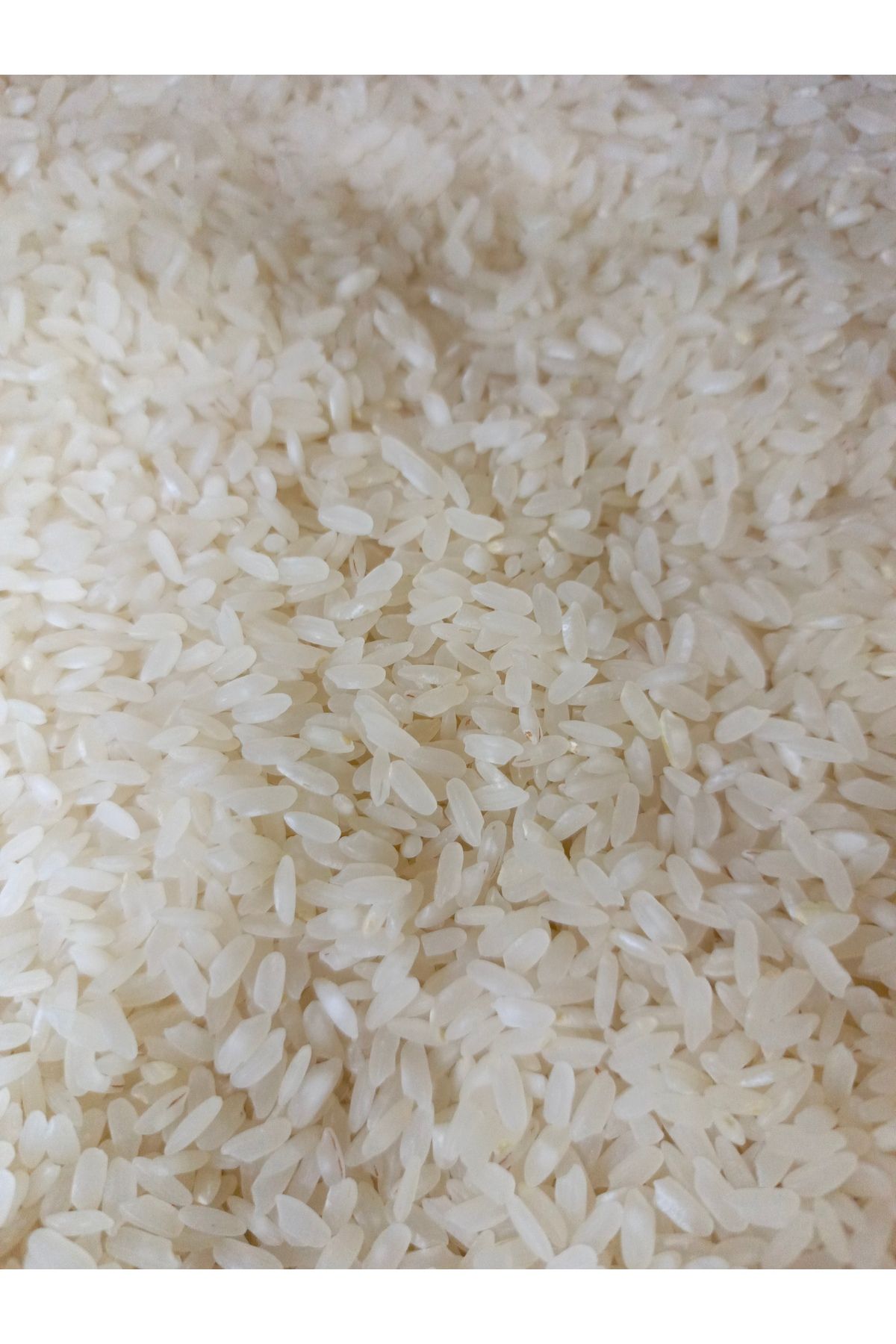 Sezerler Baldo Pirinç 1 Kg