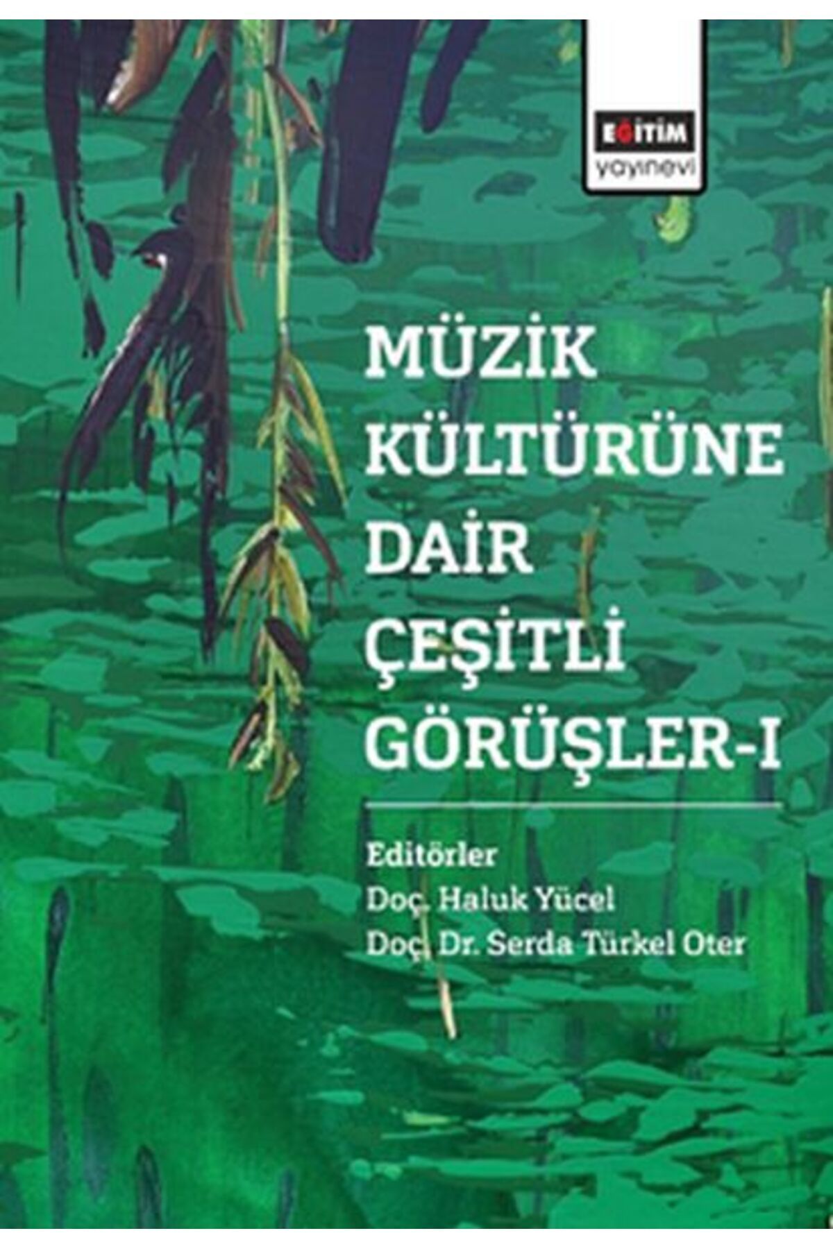 Eğitim Yayınevi Müzik Kültürüne Dair Çeşitli Görüşler - 1