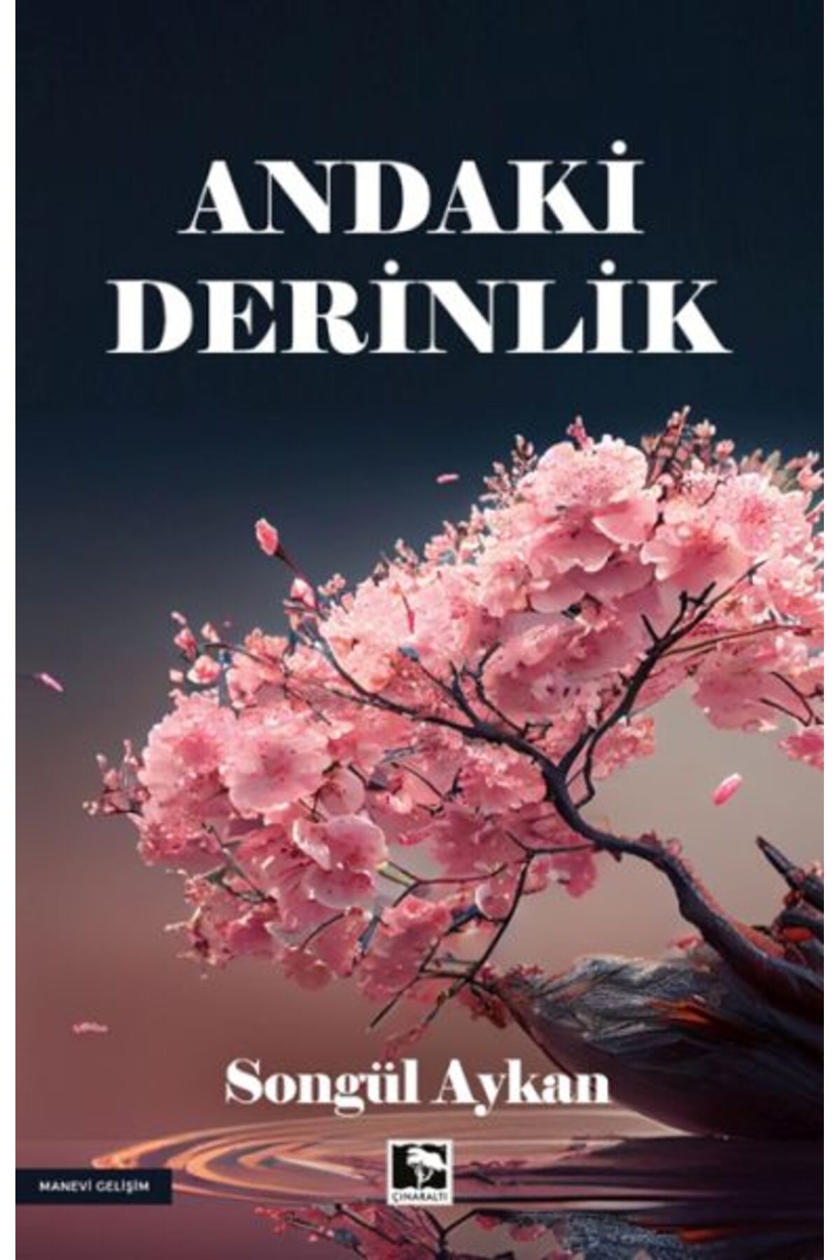Çınaraltı Yayınları Andaki Derinlik