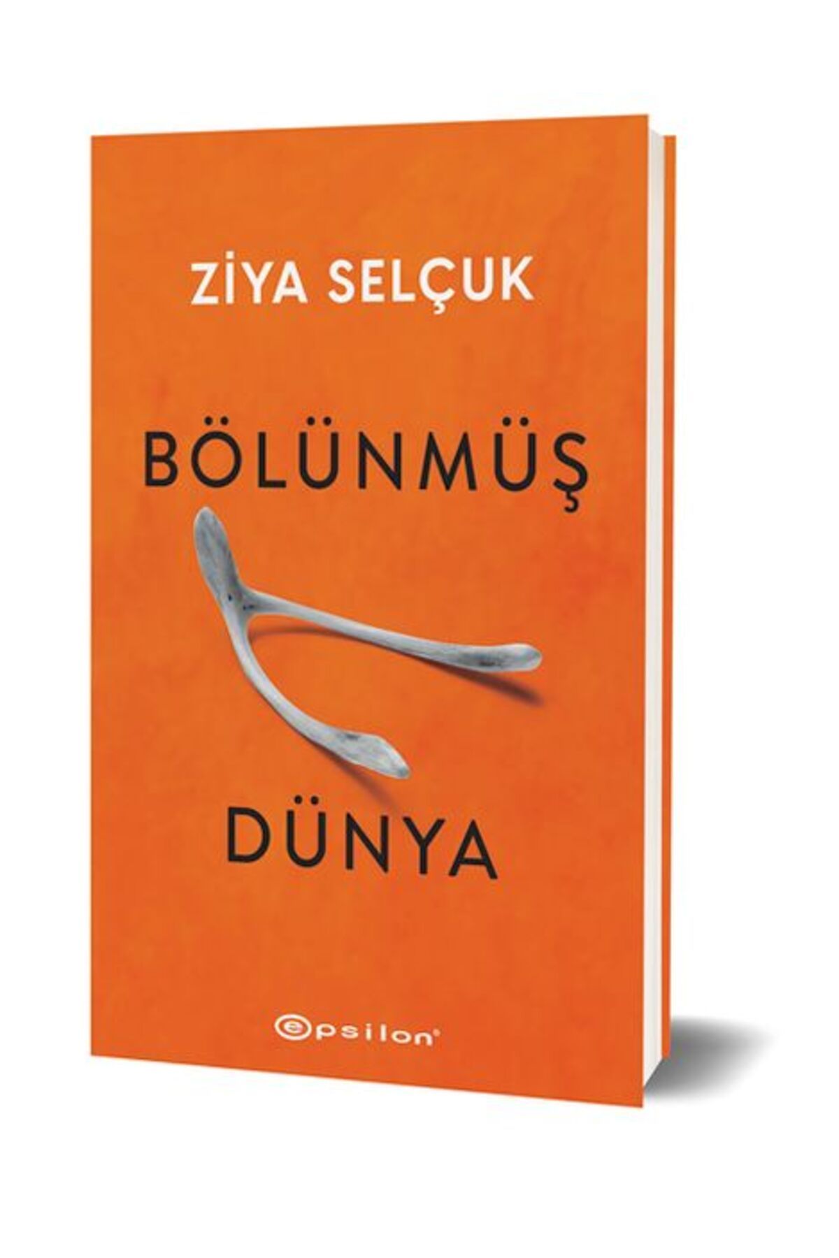 Epsilon Yayınevi Bölünmüş Dünya