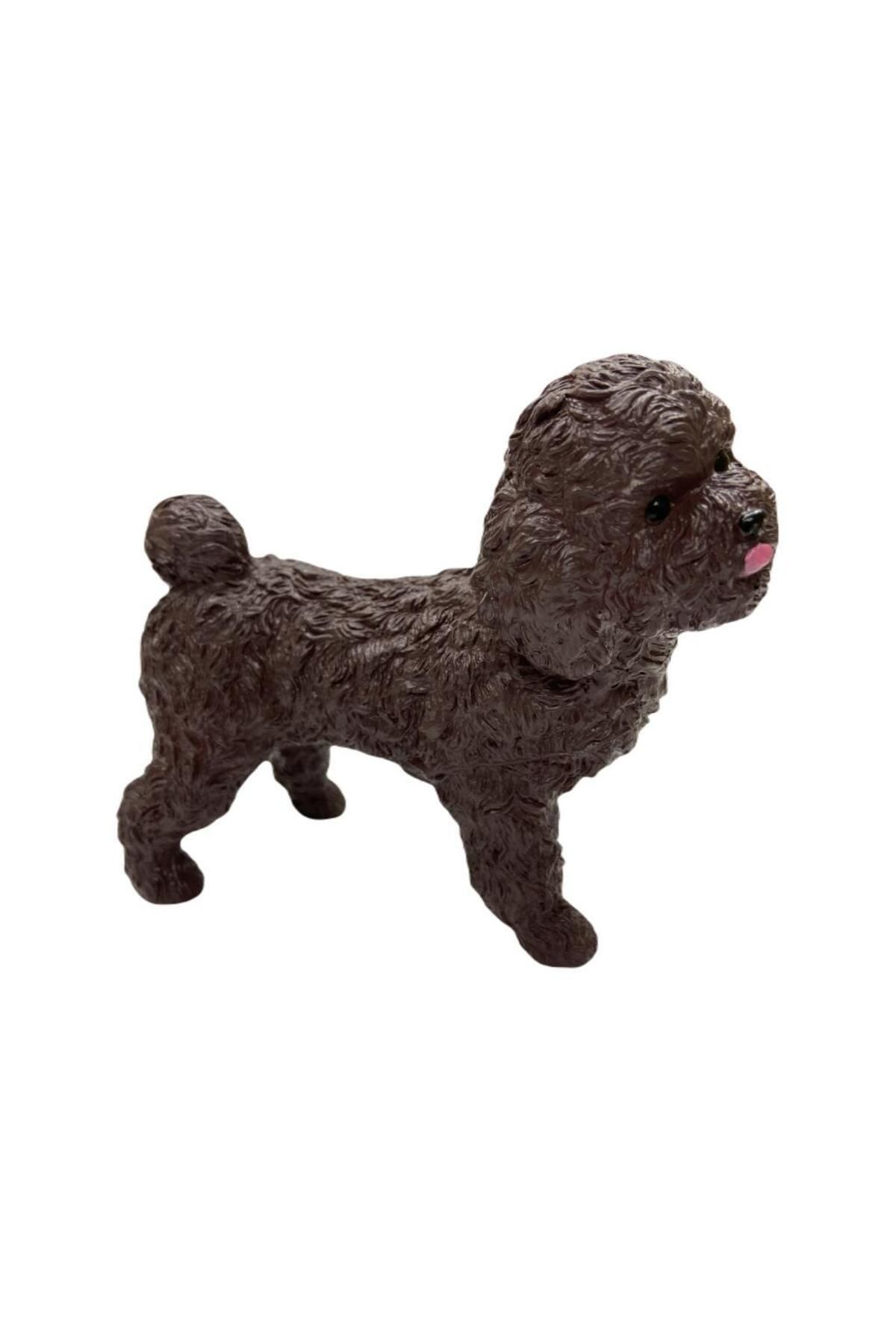merland benvecocuk Soft Köpekler - Poodle Cinsi Köpek - E013 (Lisinya)