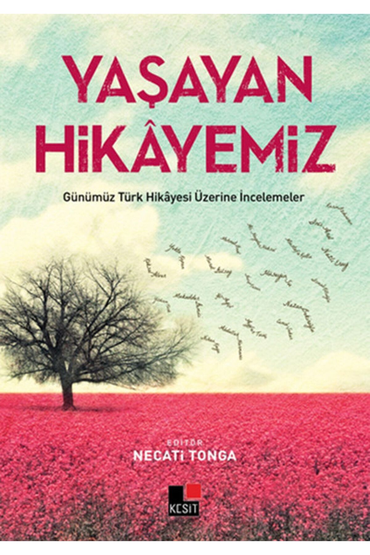 Kesit Yayınları Yaşayan Hikayemiz