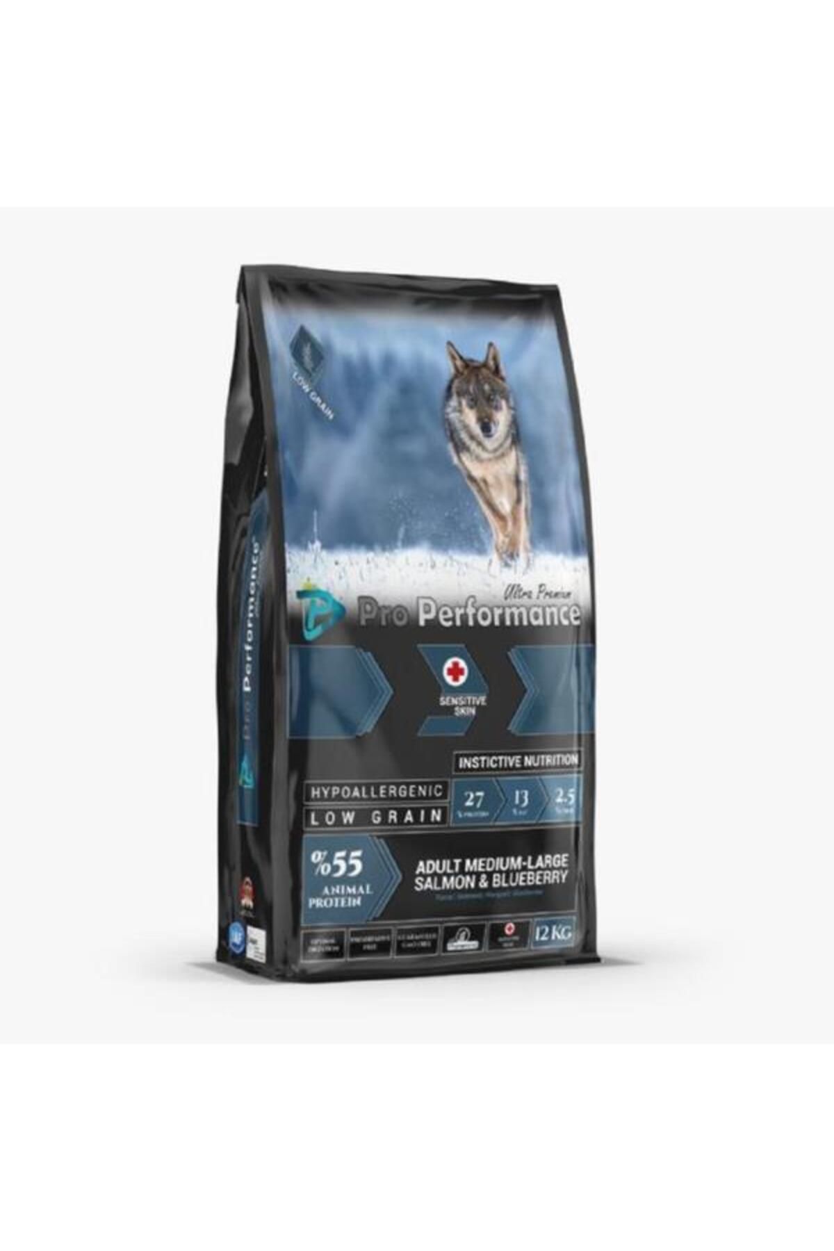 PERFORMANCE Pro Performance Ultra Premium Orta ve Büyük Irklar İçin Somonlu ve Yaban Mersinli Yetişkin Köpek Mam