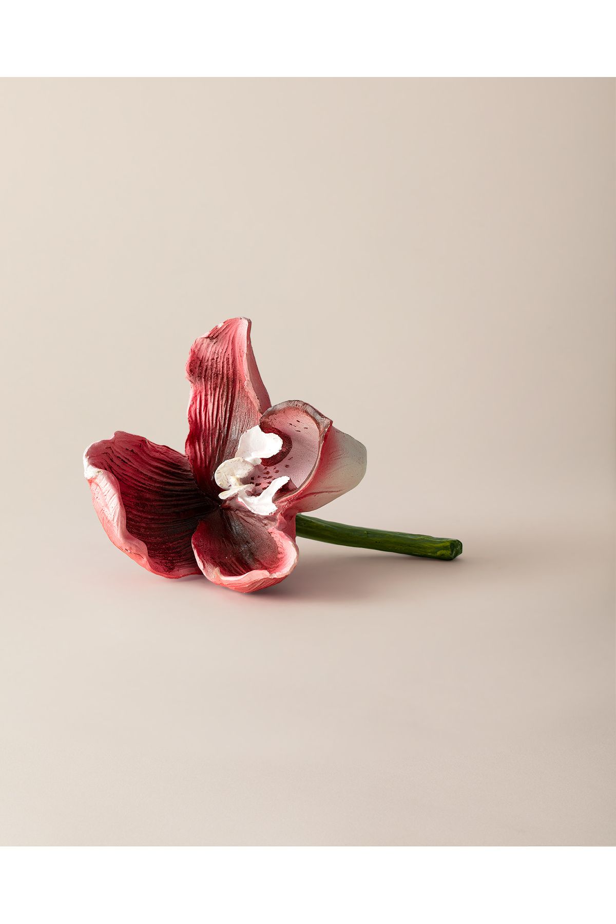 Madame Coco Fleur Biblo - Renkli