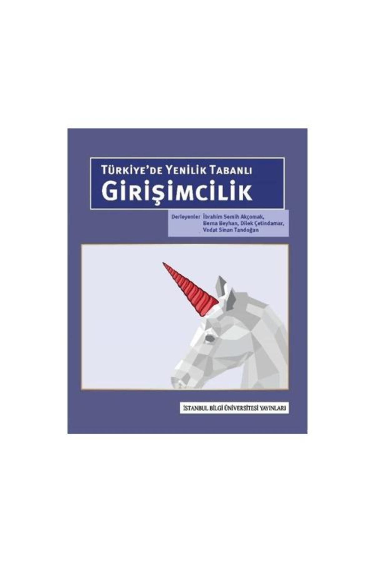 İstanbul Bilgi Üniversitesi Yayınları Türkiye’de Yenilik Tabanlı Girişimcilik