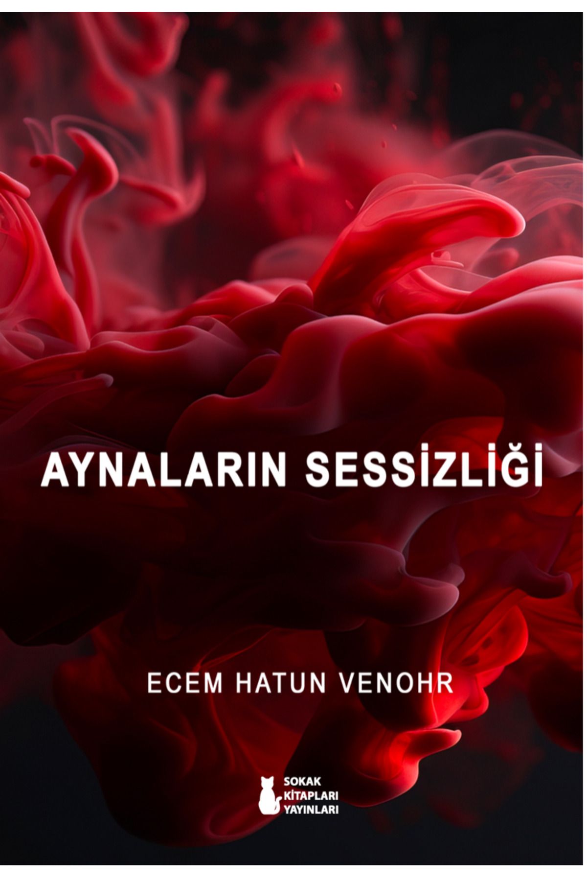 Sokak Kitapları Yayınları AYNALARIN SESSİZLİĞİ - ECEM HATUN VENOHR