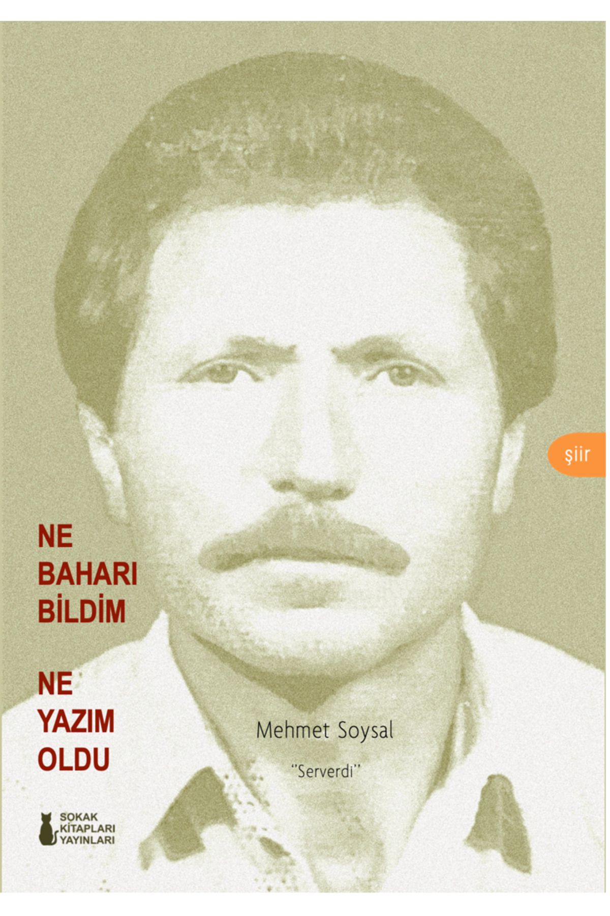 Sokak Kitapları Yayınları NE BAHARI BİLDİM NE YAZIM OLDU - MEHMET SOYSAL