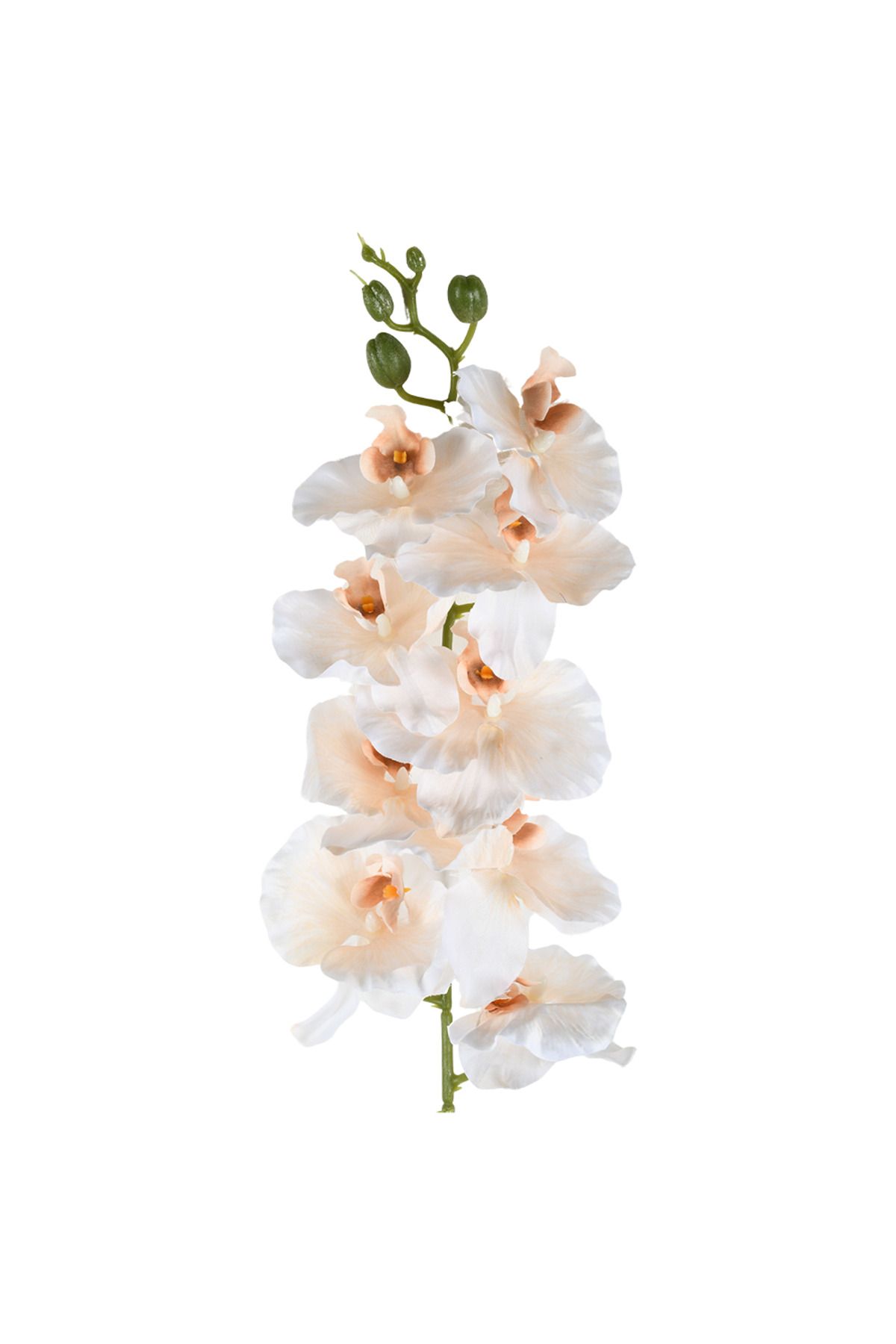 Leona Dekoratif Ürünler ORCHID YAPAY CICEK KREM