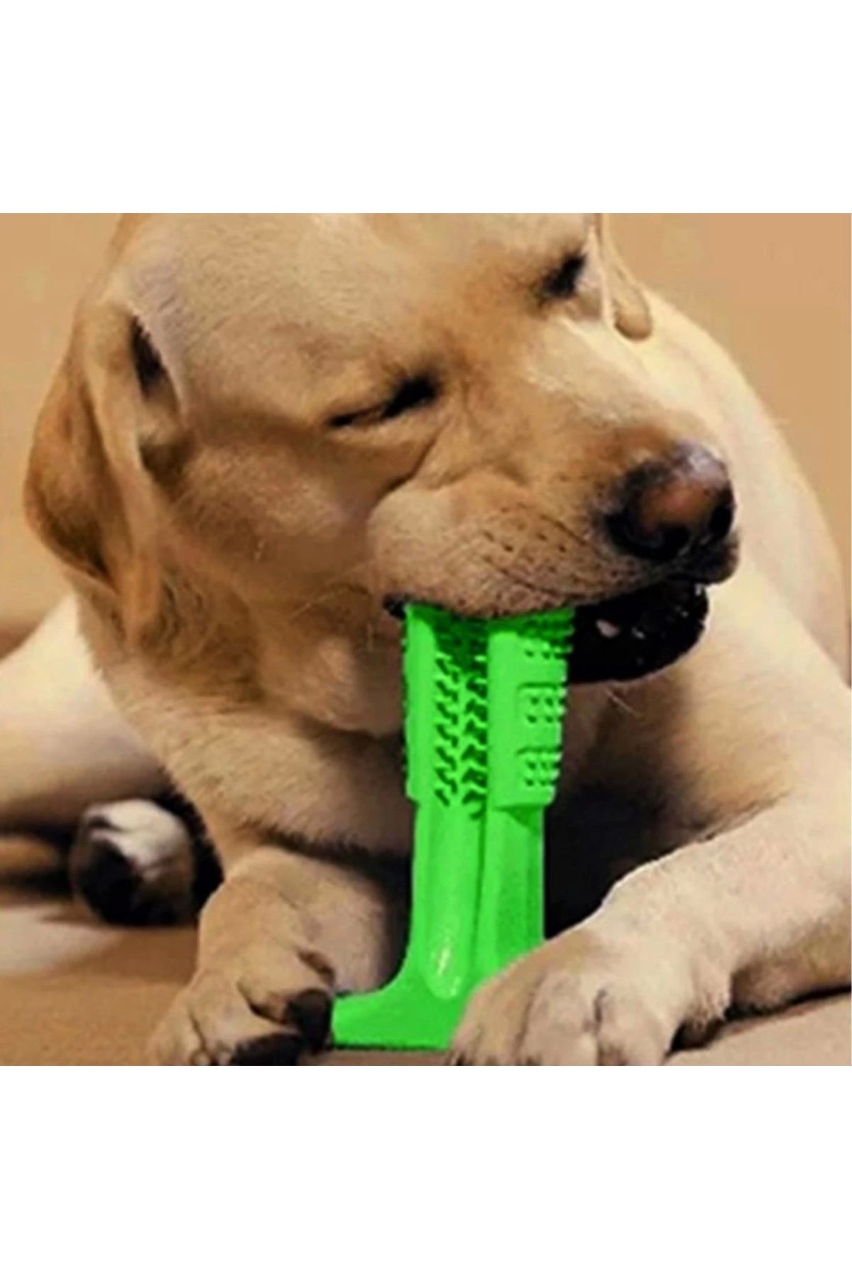 Beruflic Köpek Diş Temizleyici Ve Kaşıyıcı Sağlıklı Küçük Boy Oyuncak
