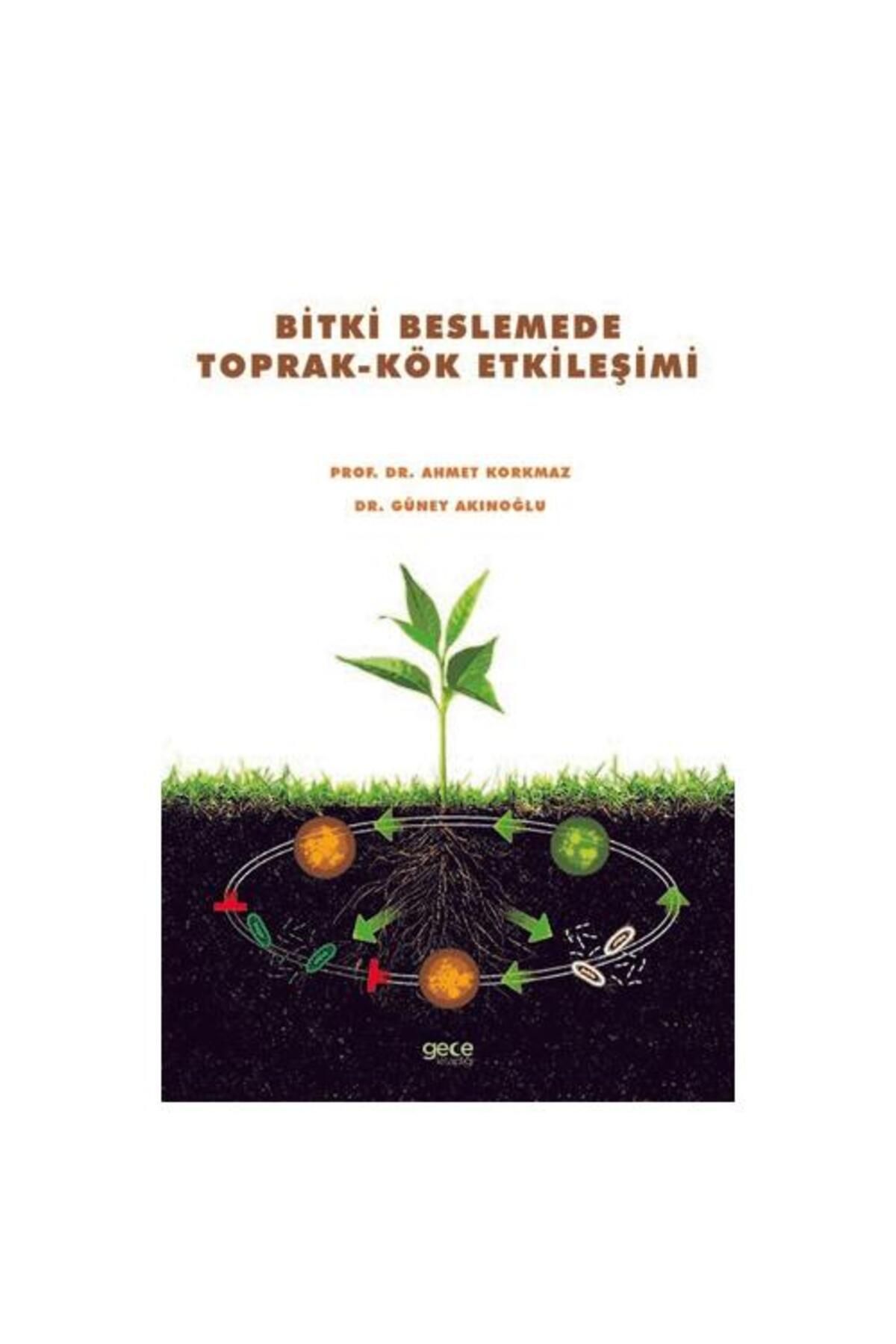 Gece Kitaplığı Bitki Beslemede Toprak Kök Etkileşimi
