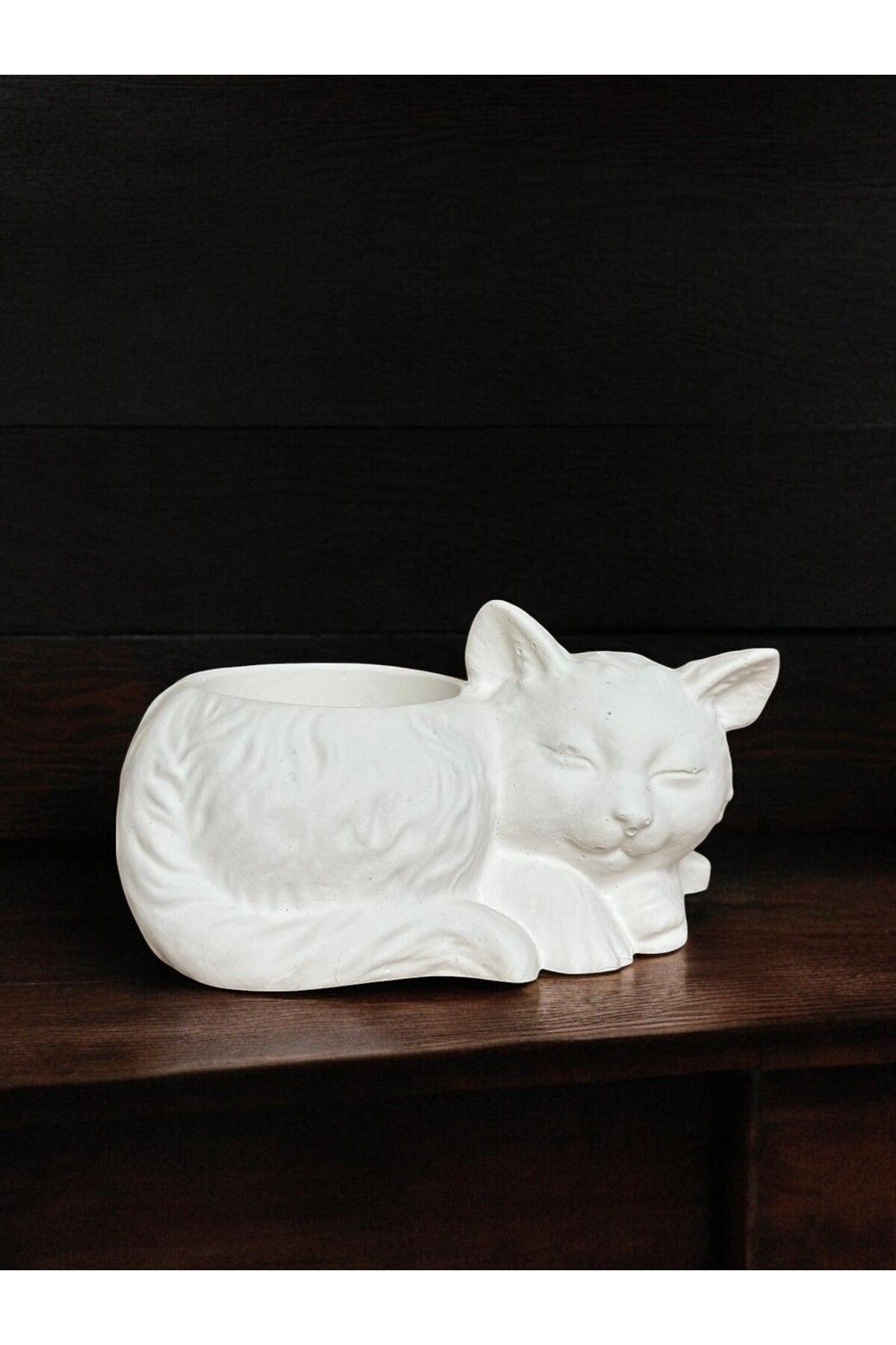 ArtnestbyAysun Kedi Minimalist Dekoratif Heykel Obje Beyaz Kaktüs ve Sukulent Saksısı