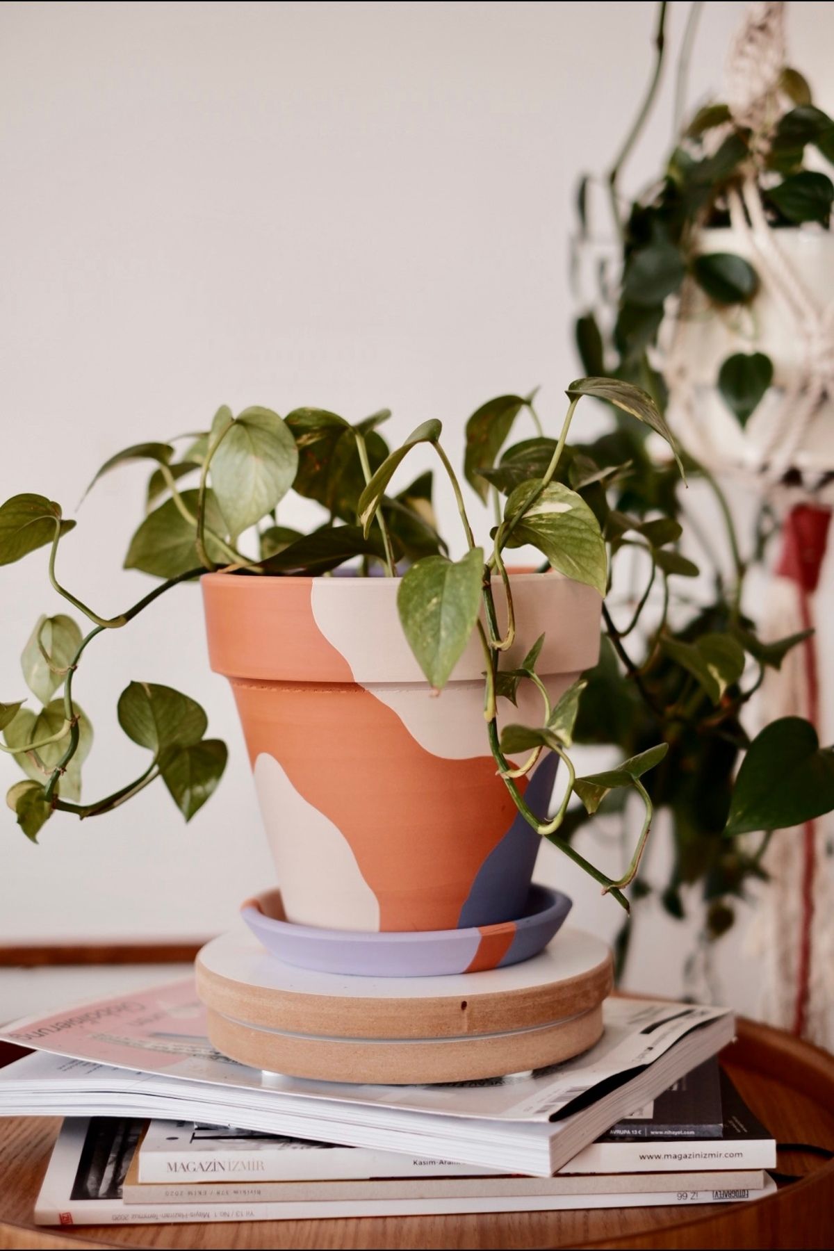 zef design store Terracotta Konik Saksı+Tabak•Lilanın Tonları•5 Farklı Seçenekle(Küçük•Orta•Büyük•2li Set•3lü Set)