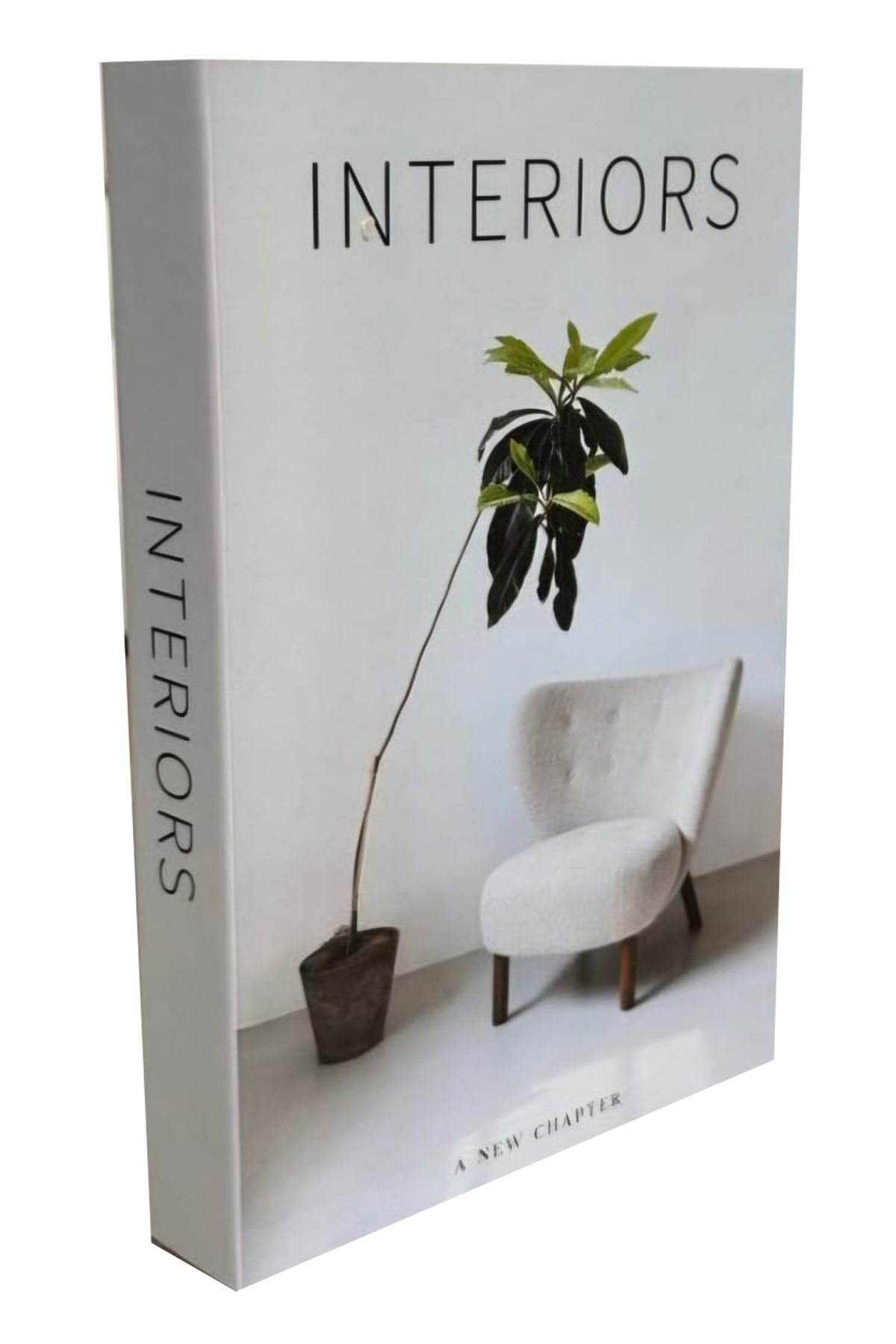 BSEYSTORE 2025-692 INTERIORS Dekoratif Kitap Kutusu
