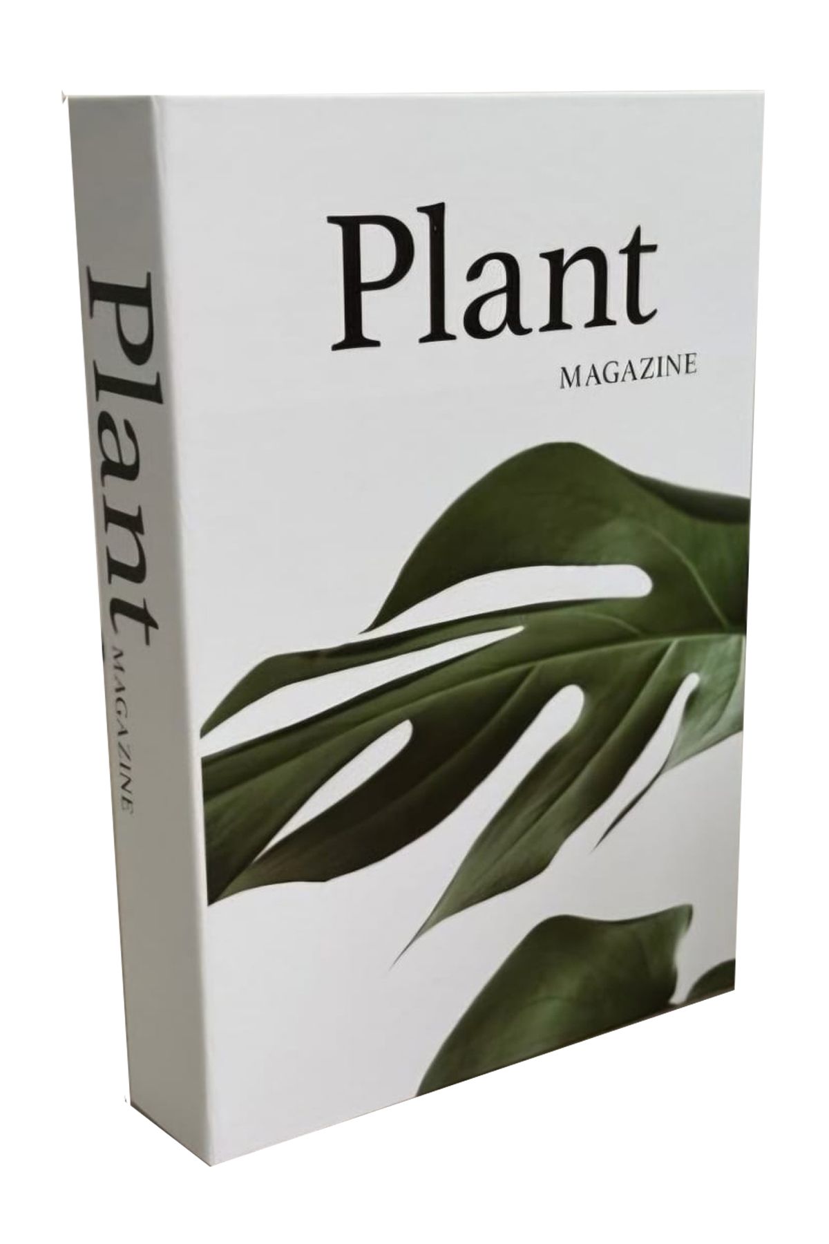 BSEYSTORE 2025-710 PLANT