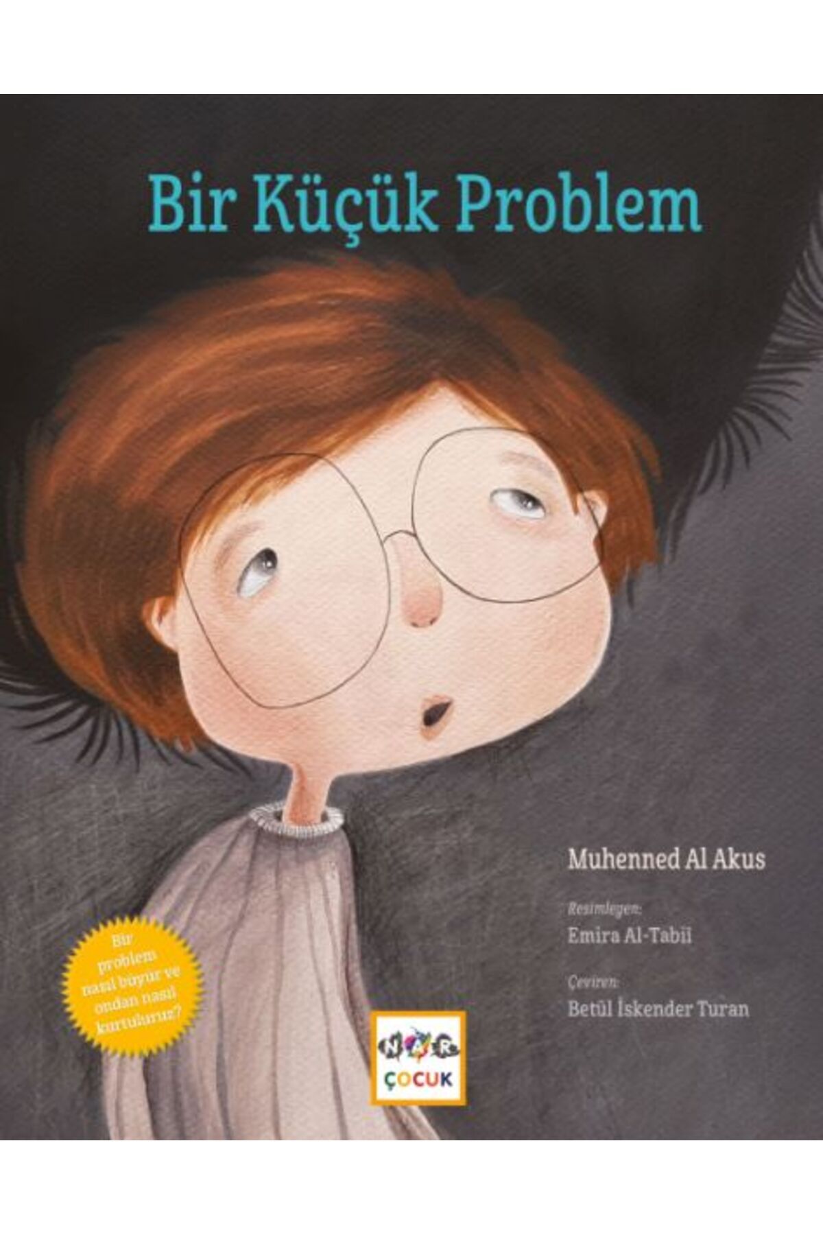 Nar Yayınları Bir Küçük Problem