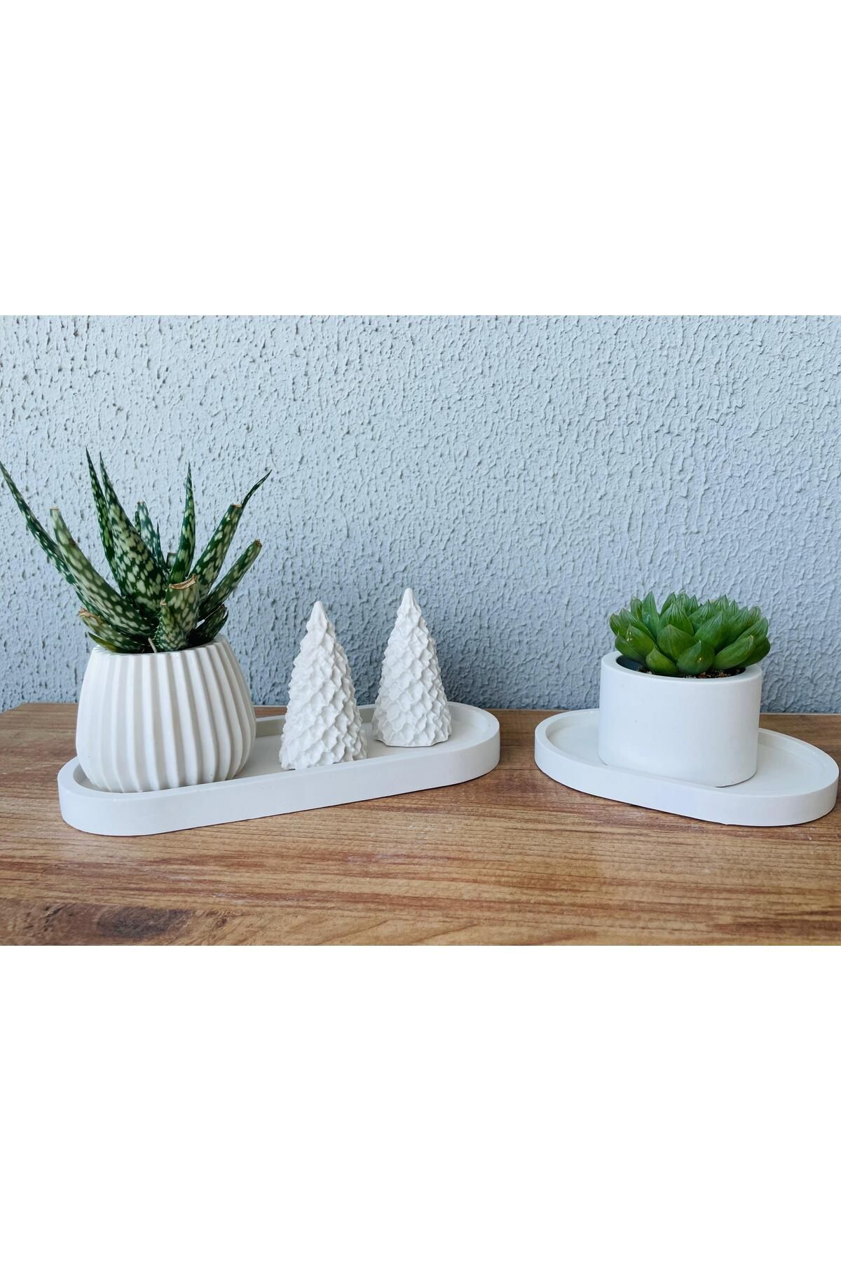terra atölye Minimal Beton Saksı ve Tepsi Seti – El Yapımı Dekoratif SukulentVazo Seti (2'li)