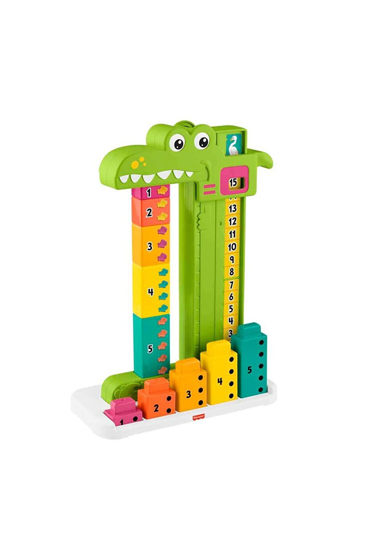MATMEL Matematikçi Timsah