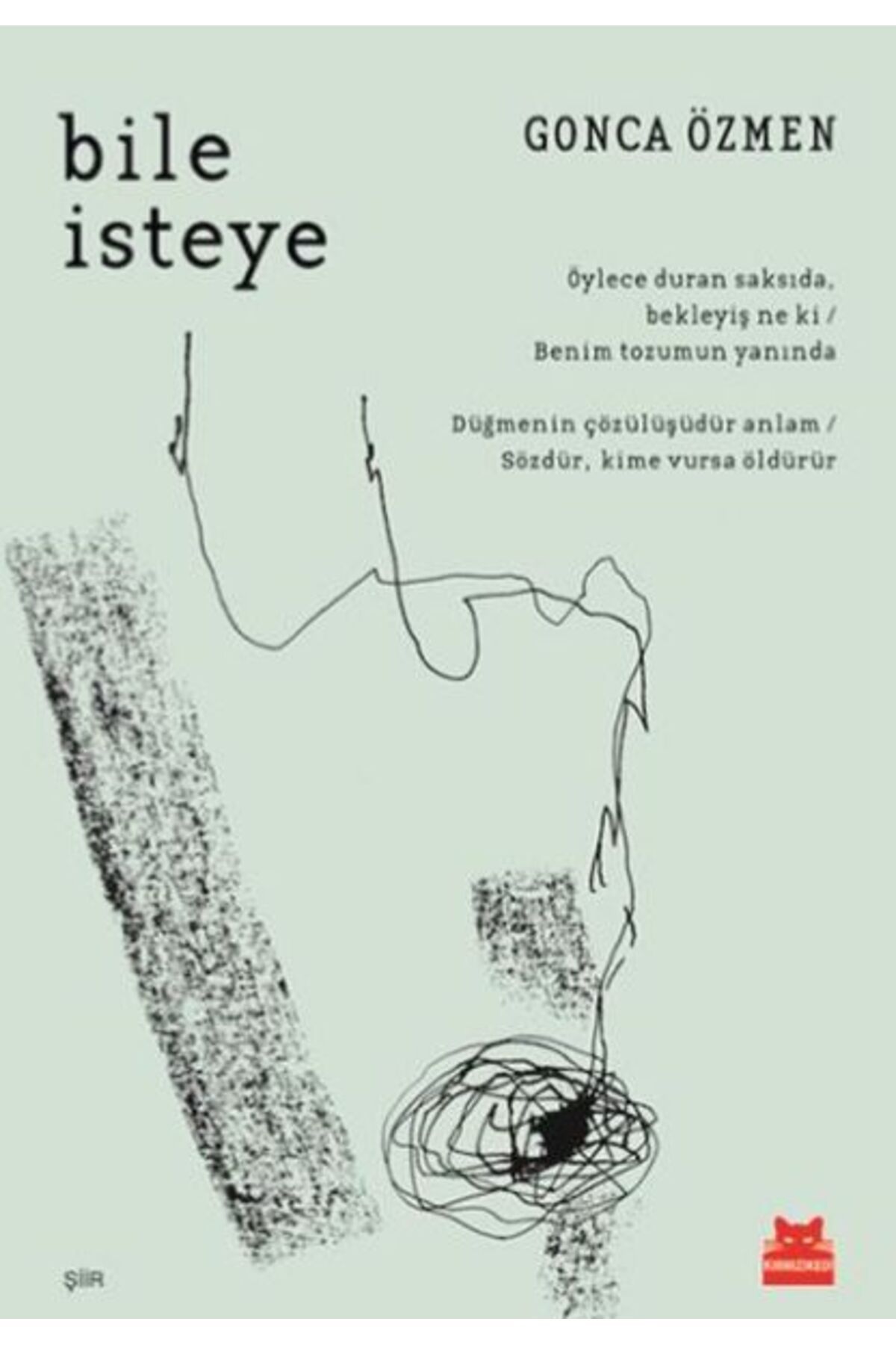 Kırmızı Kedi Yayınları Bile İsteye