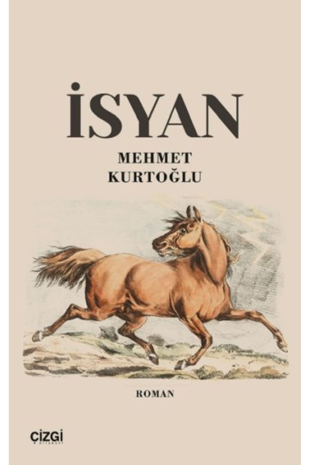 Çizgi Kitabevi Yayınları İsyan