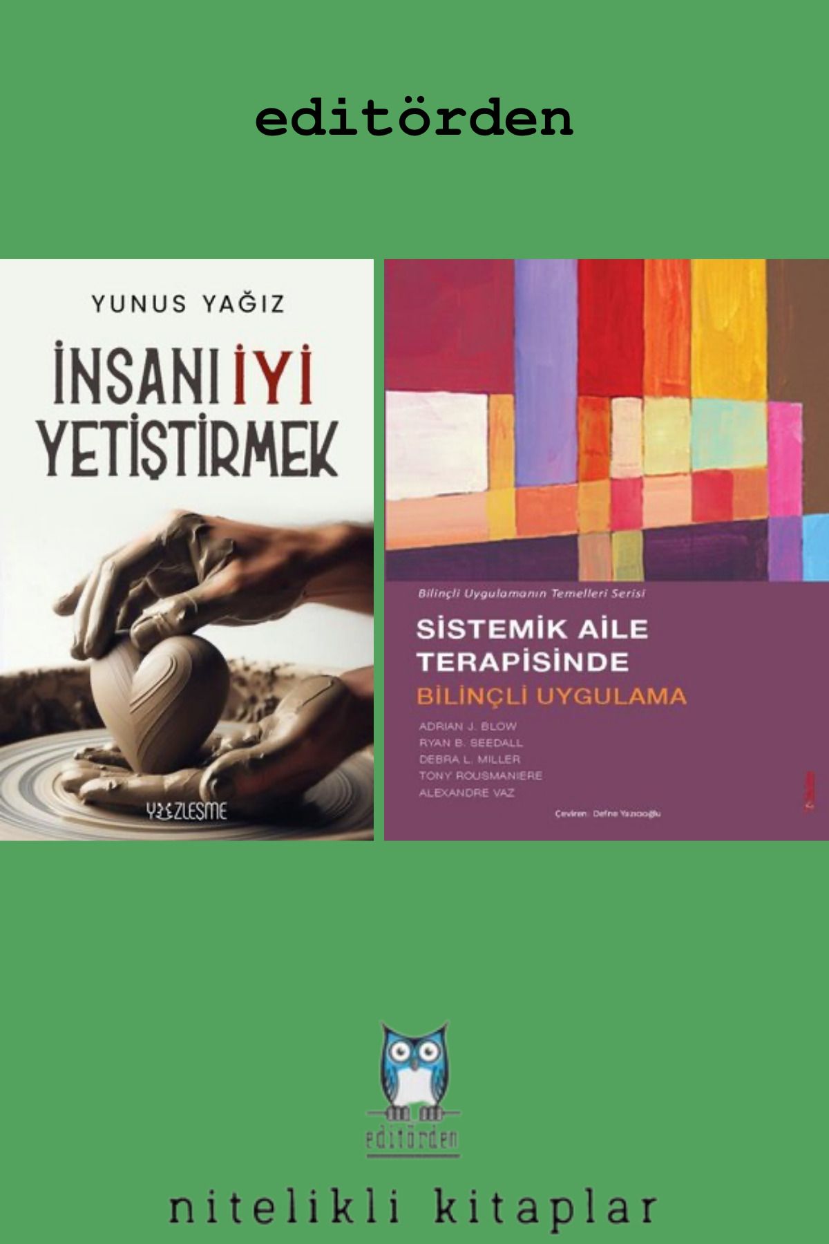 Yüzleşme Yayınları Sistemik Aile Terapisinde Bilinçli Uygulama - İnsanı İyi Yetiştirmek / Yunus Yağız