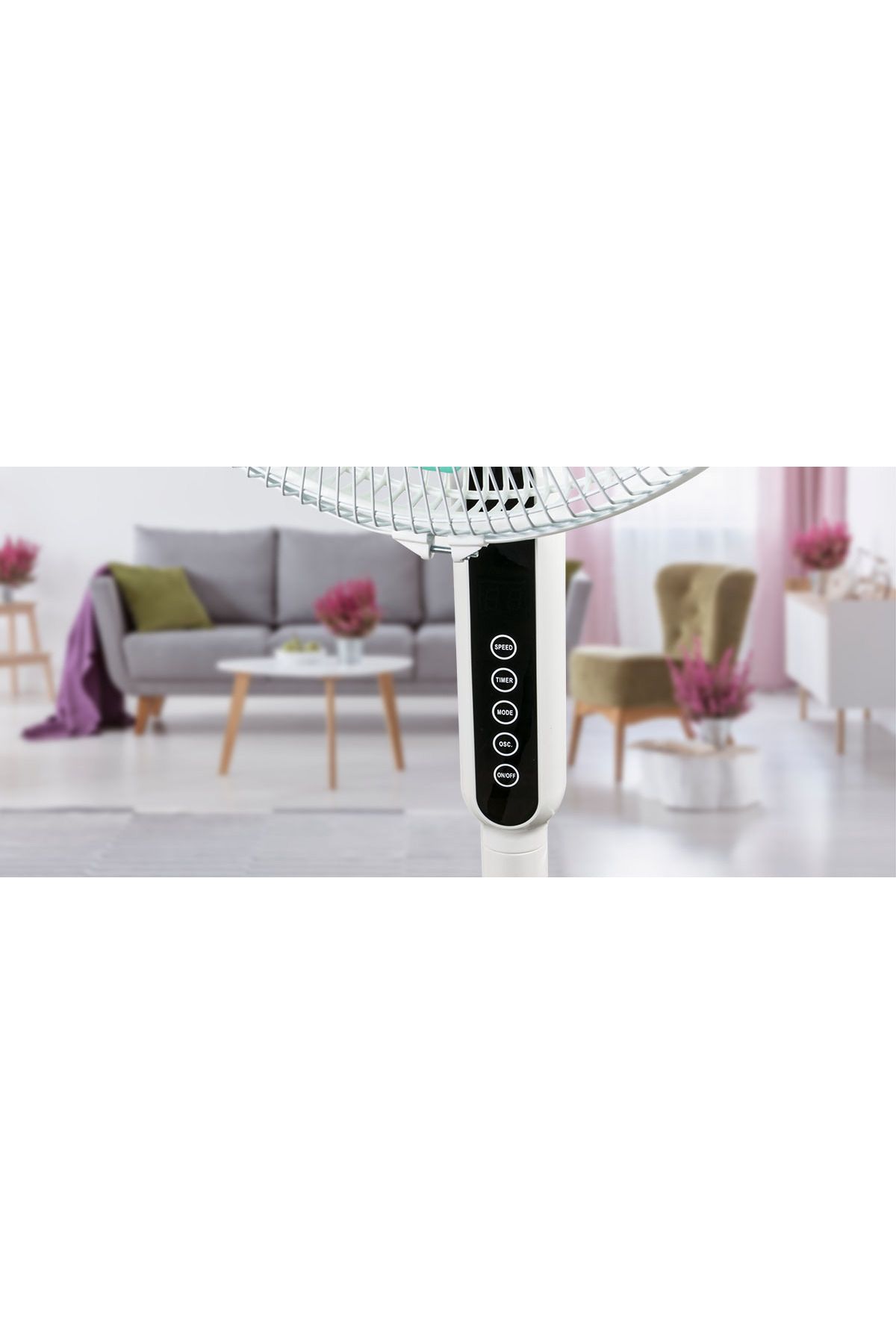 Zass-Fan with adjustable foot and remote control Zass ZFTRA 1609, 55 W, 3 speed,Timer, touch panel LED 8