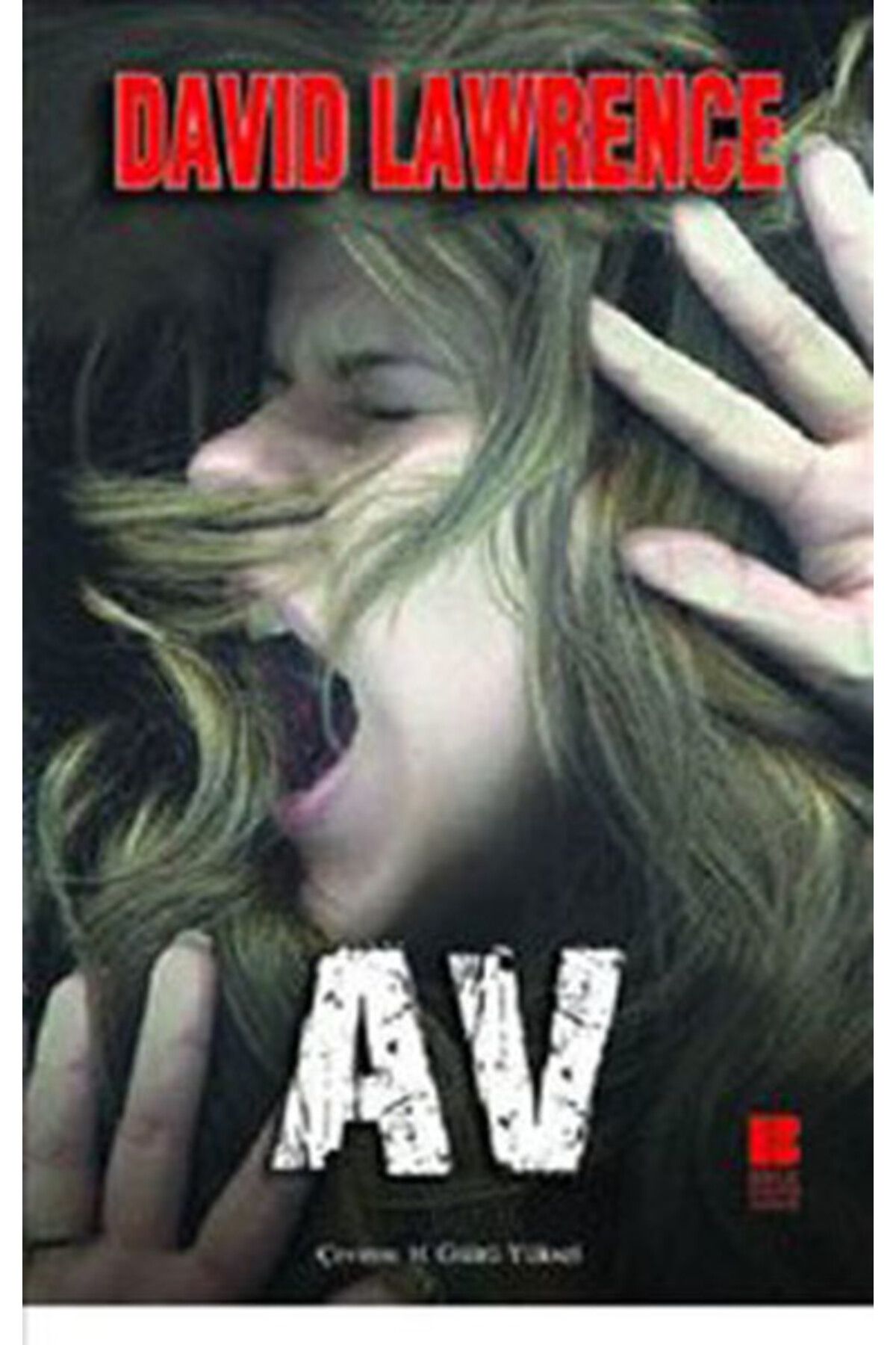 Nan Kitap Av Roman