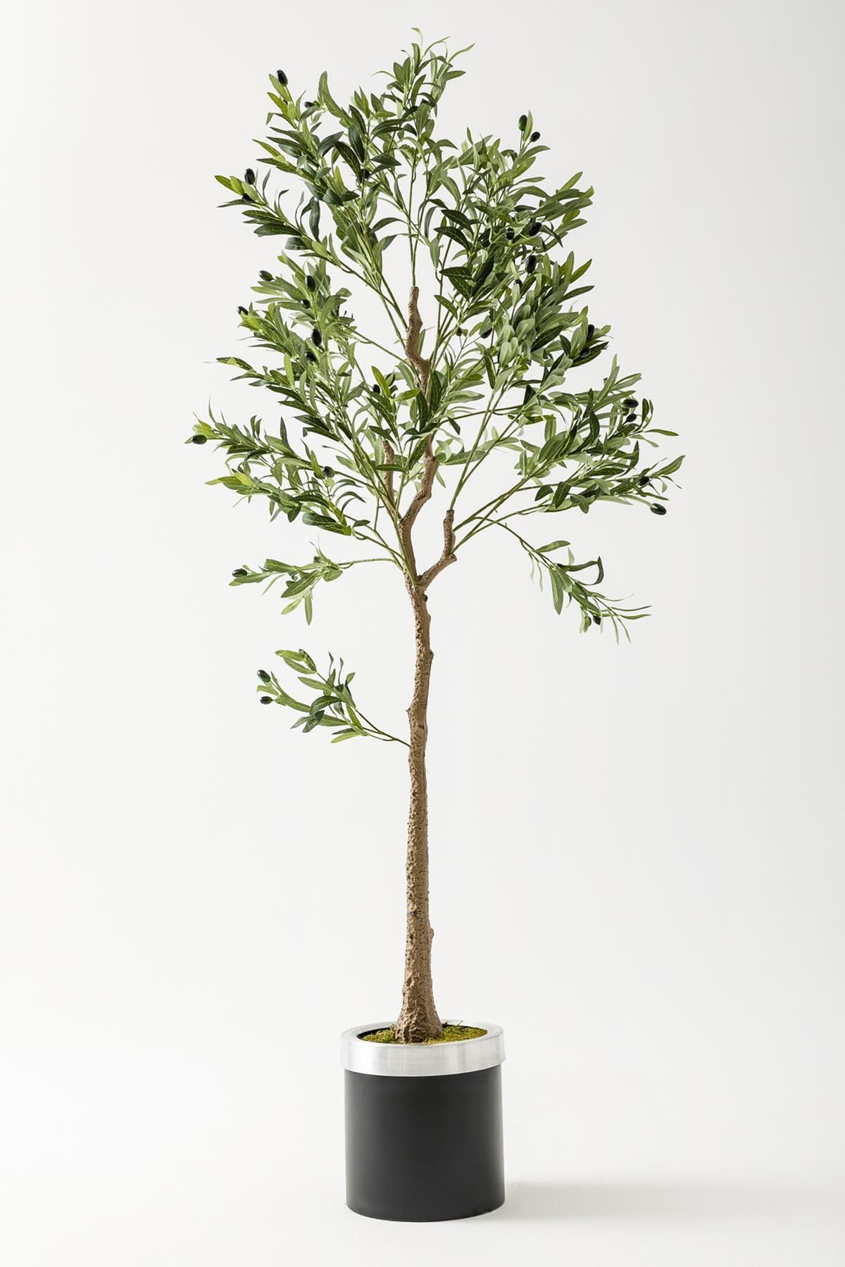 Güleç Yapay Çiçek Yapay Zeytin Ağacı 175 Cm Siyah Gümüş Metal Saksı