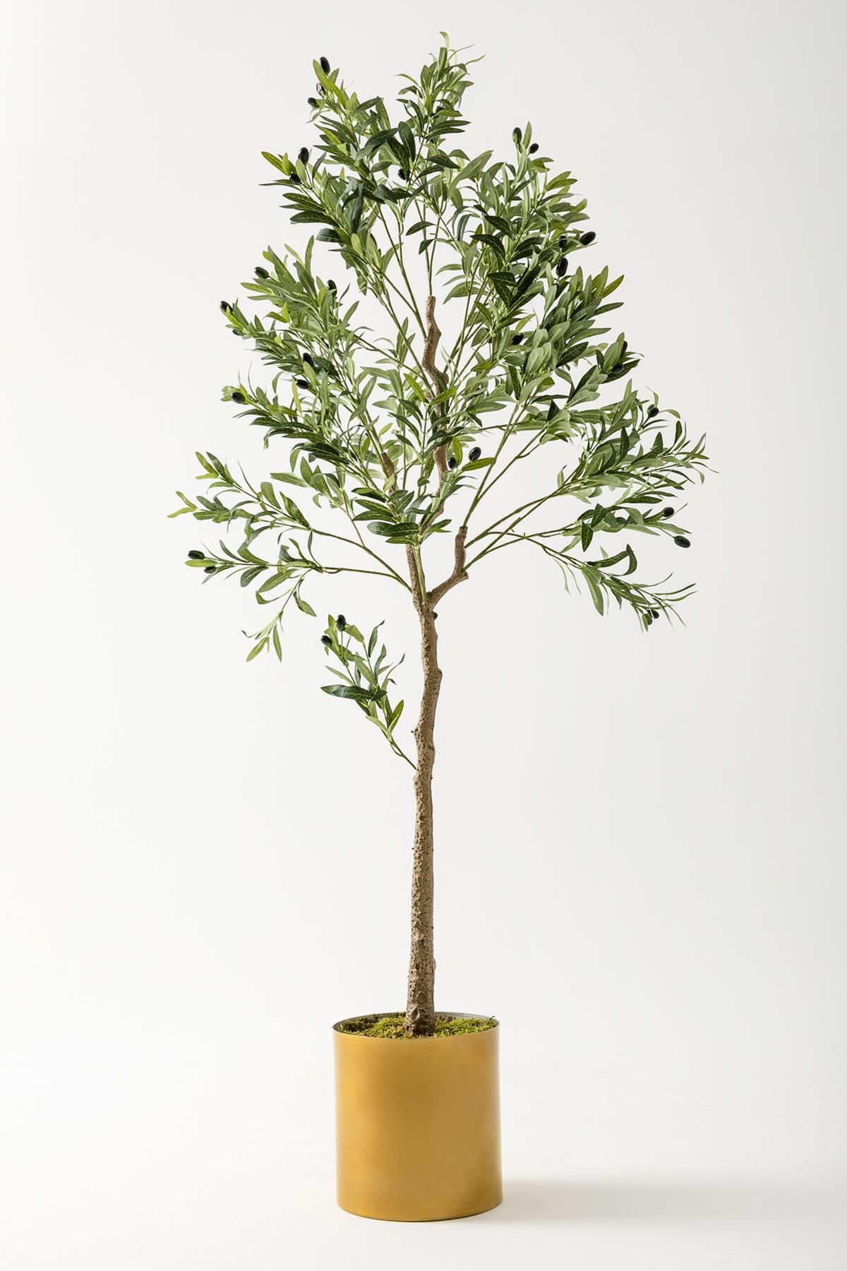 Güleç Yapay Çiçek Yapay Zeytin Ağacı 175 Cm Gold Metal Saksı