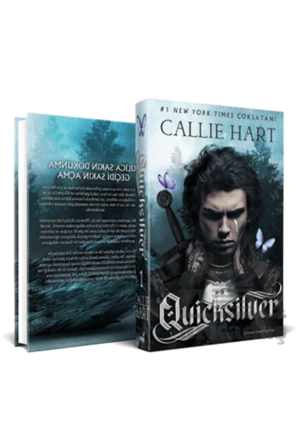İndigo Kitap Ouicksilver