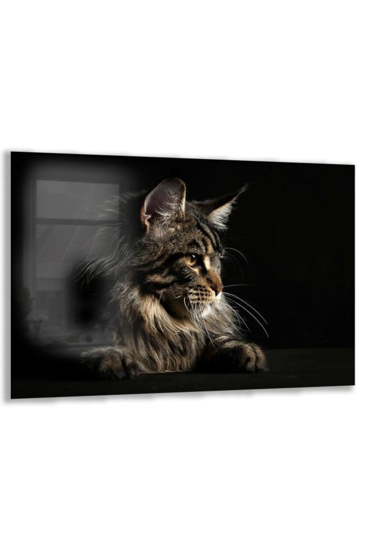 Domovit Kedi Cam Tablo - Yatay Motif 01-023