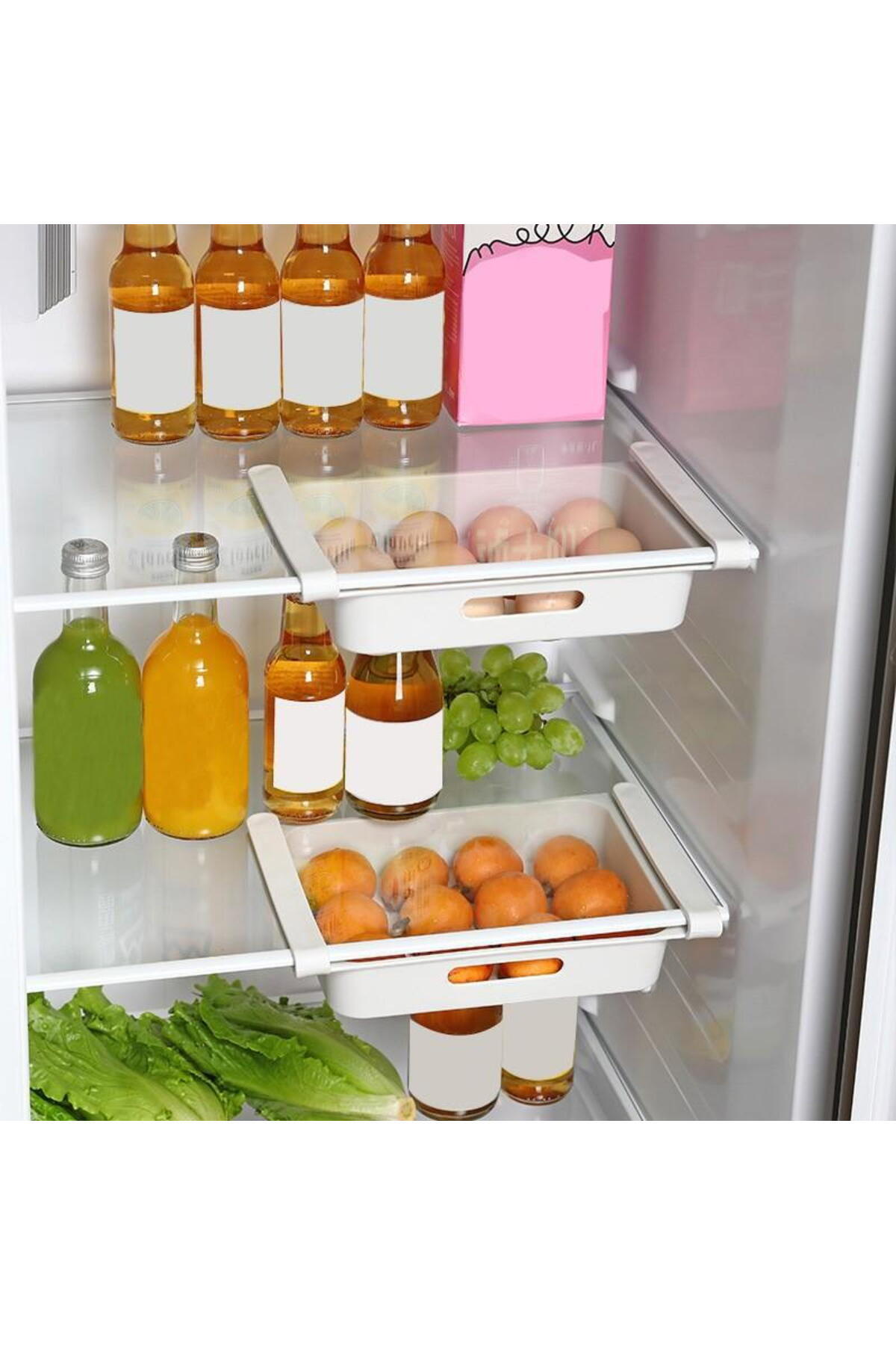 SMARTECH-Organizer Box for 12 Eggs, Shelf Attachment System 5