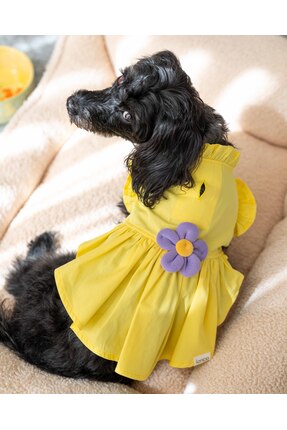 Lorico Köpek Elbise - Köpek Kıyafeti (Çiçekli elbise)
