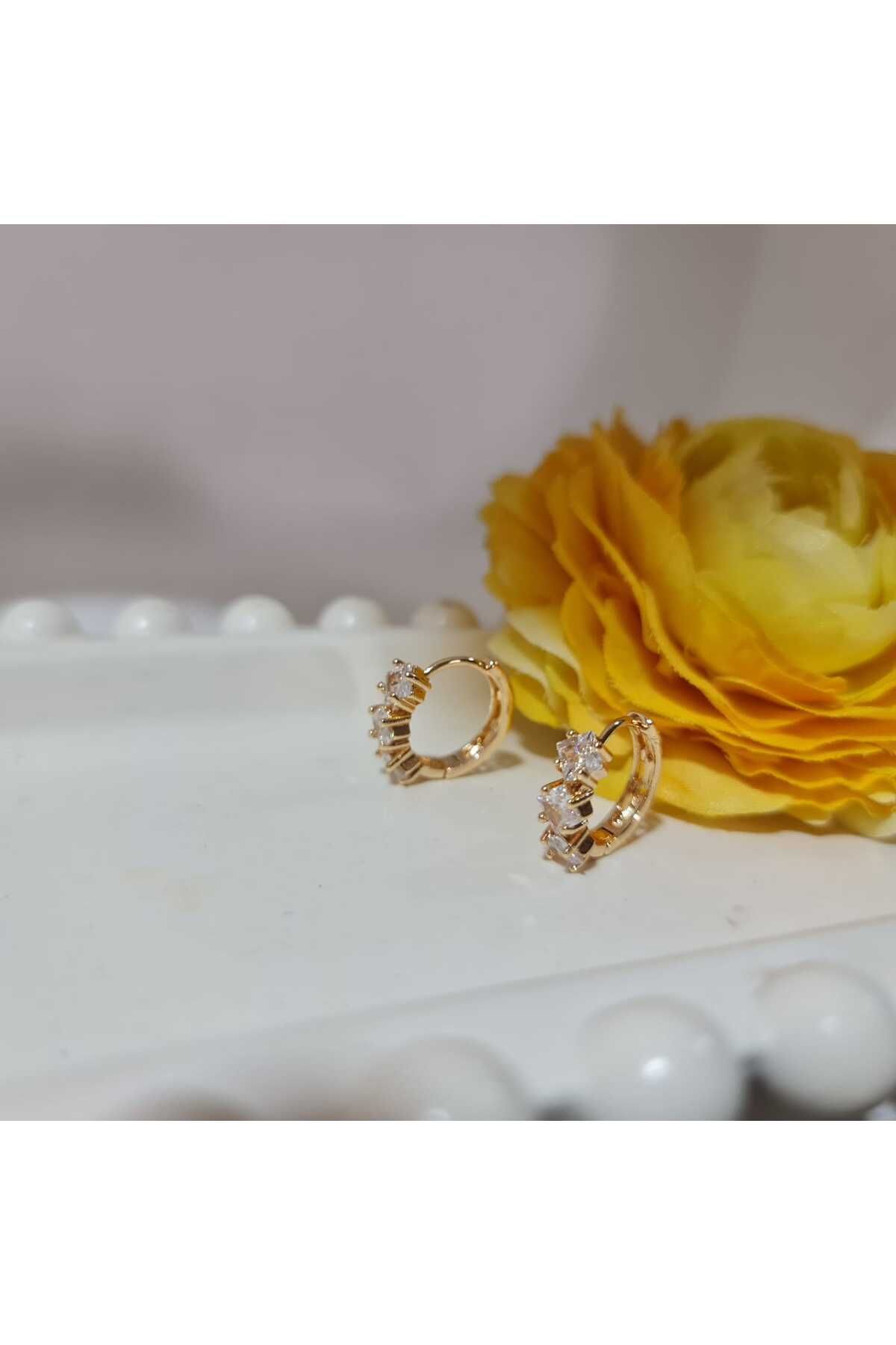 Store 316l Zirkon Taşlı Paslanmaz Çelik Gold Küpe