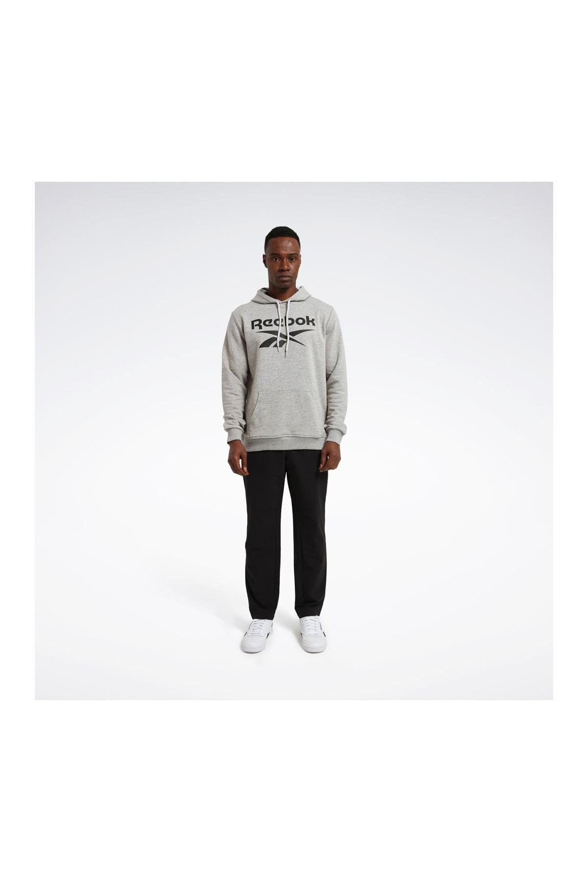 Reebok RI FT BIG LOGO OTH HOOD Giyim Erkek