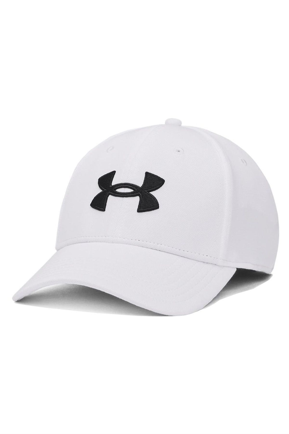 Under Armour Erkek Şapka 1376700-100