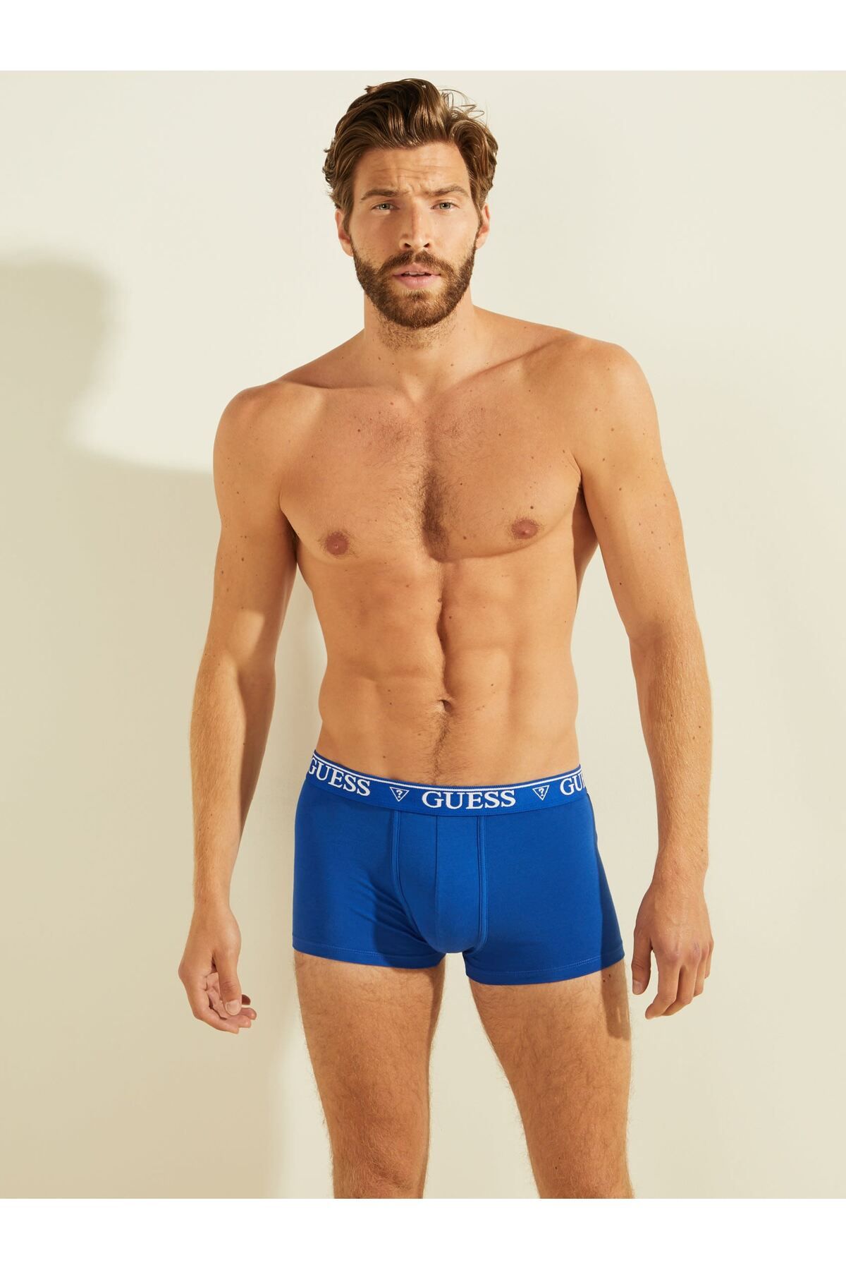 Guess Barney Erkek Boxer Külot