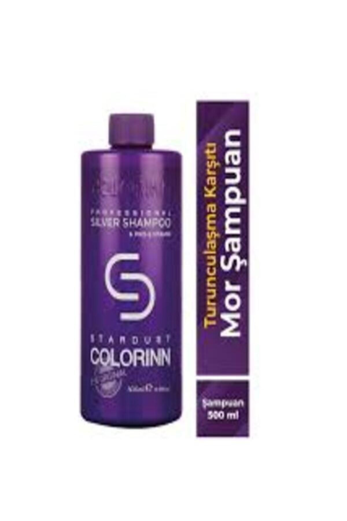 Colorinn Stardust Silver Mor Şampuan 500 ml