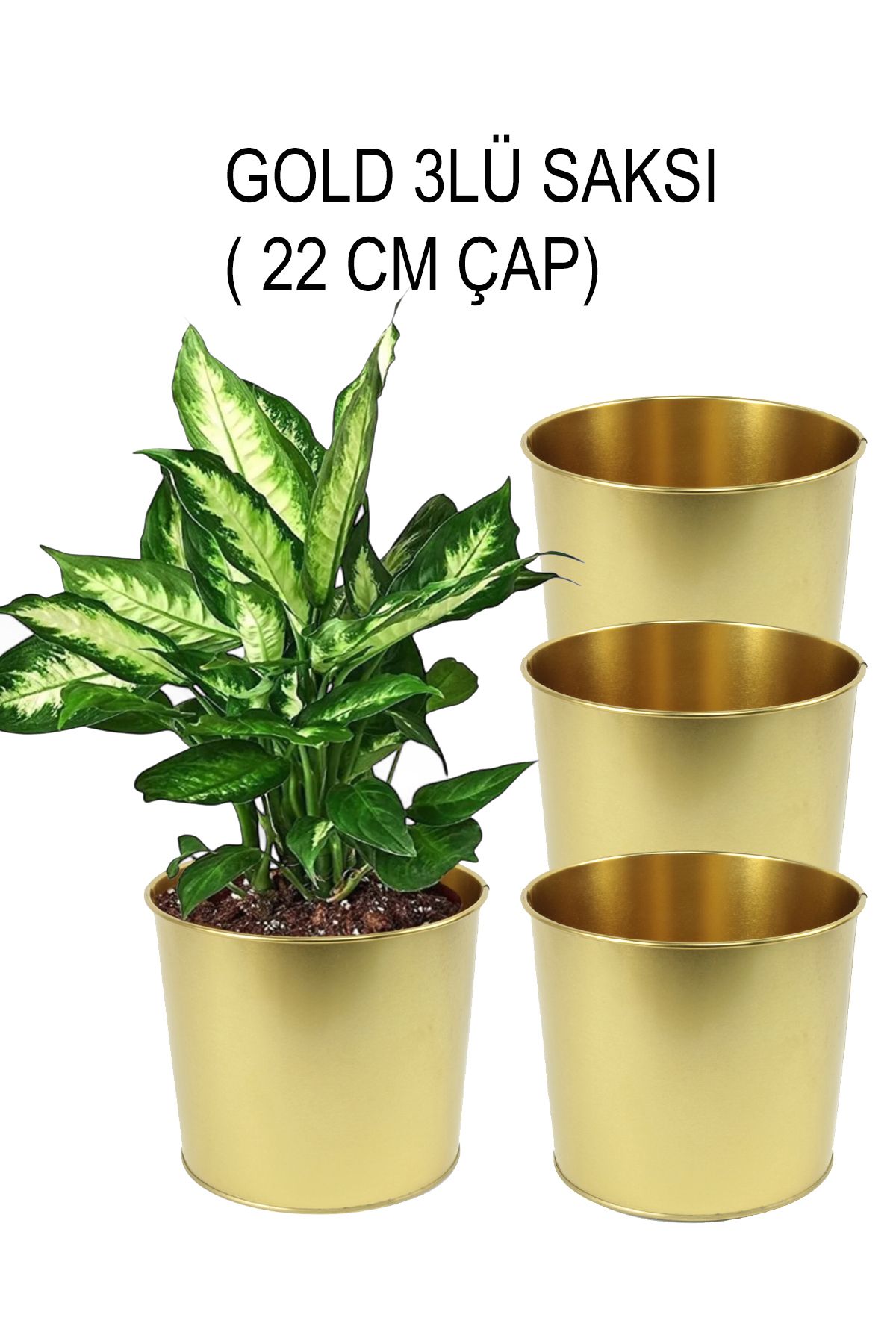 EVSTYLE 3'LÜ DEKORATİF GOLD SAKSI - 22 CM
