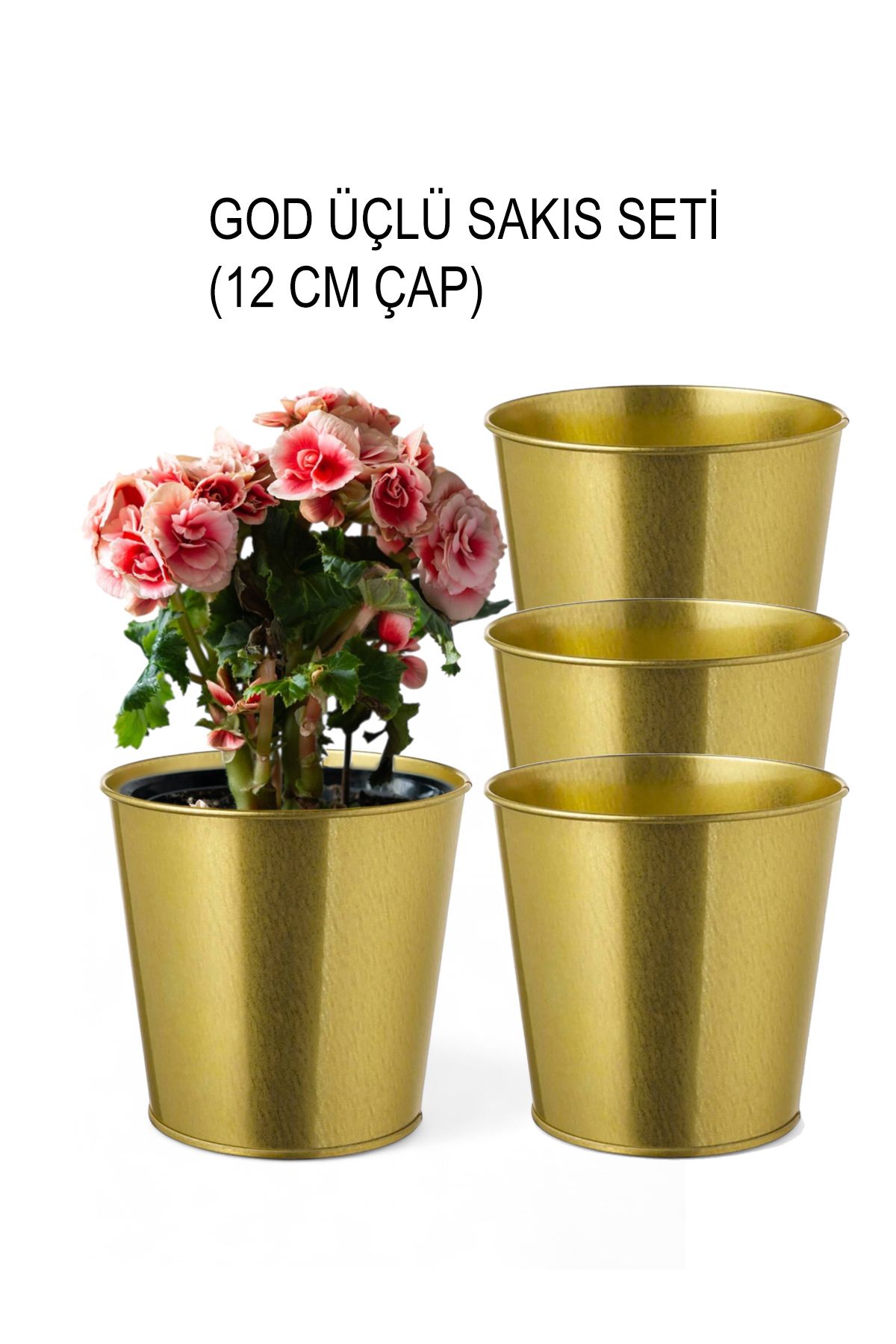 EVSTYLE 3'LÜ DEKORATİF GOLD SAKSI - 12 CM