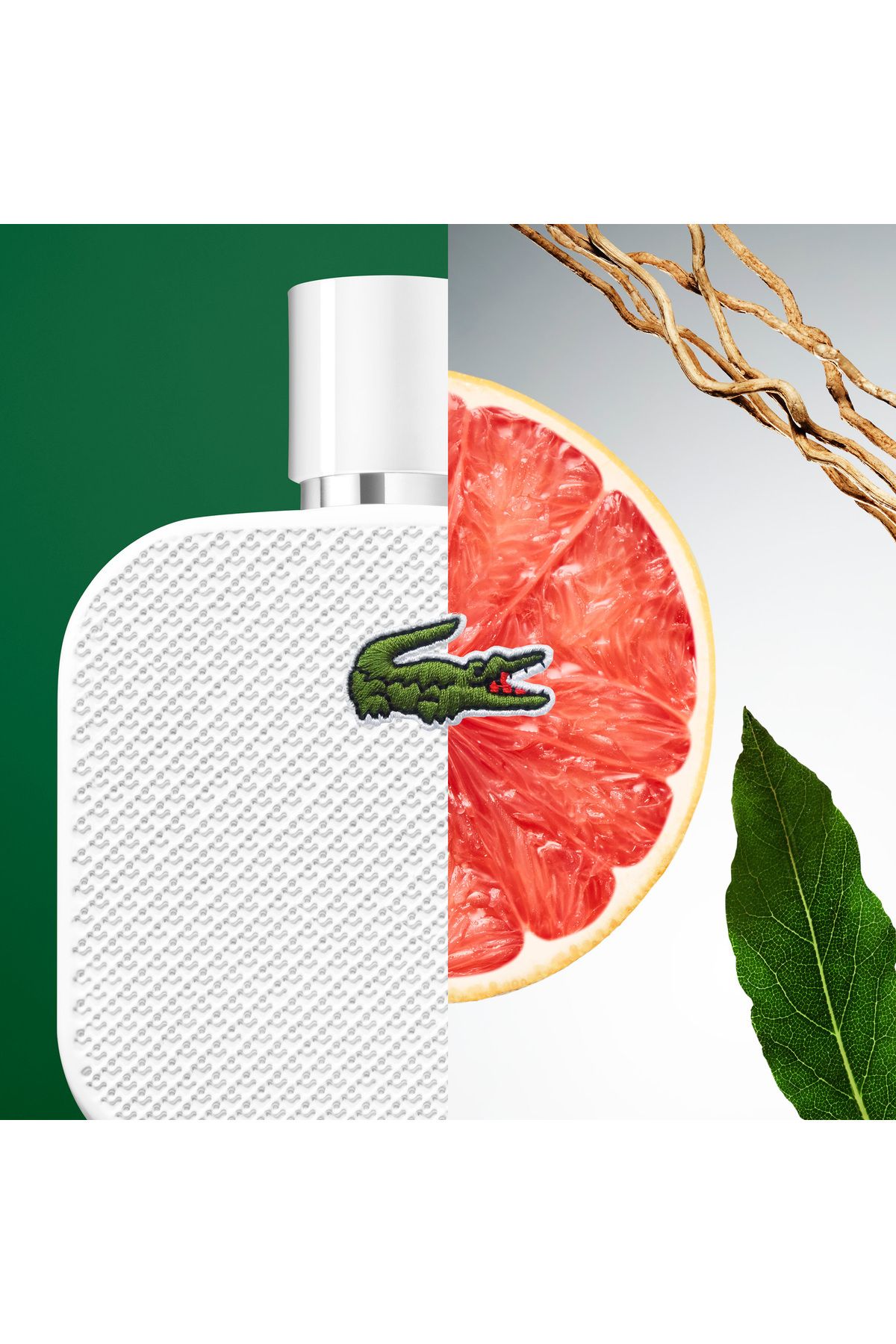 عطر مردانه L.12.12 Blanc Eau de Toilette Spray 175ml Lacoste