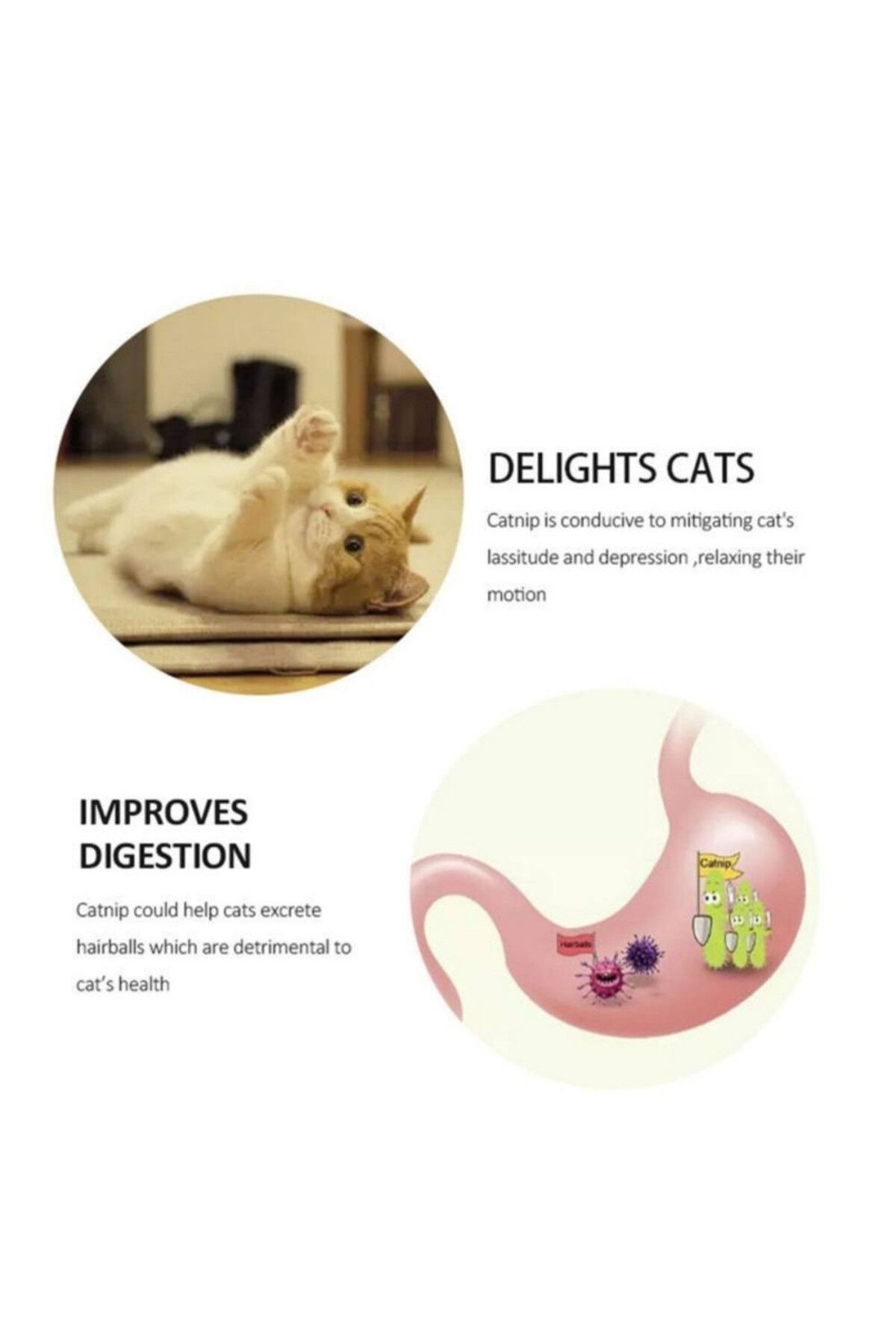 Evelise-Set of 3 Toys for Kittens, Teddy Bear Model, 360° Rotating Catnip Ball, 6 cm, Pink 6