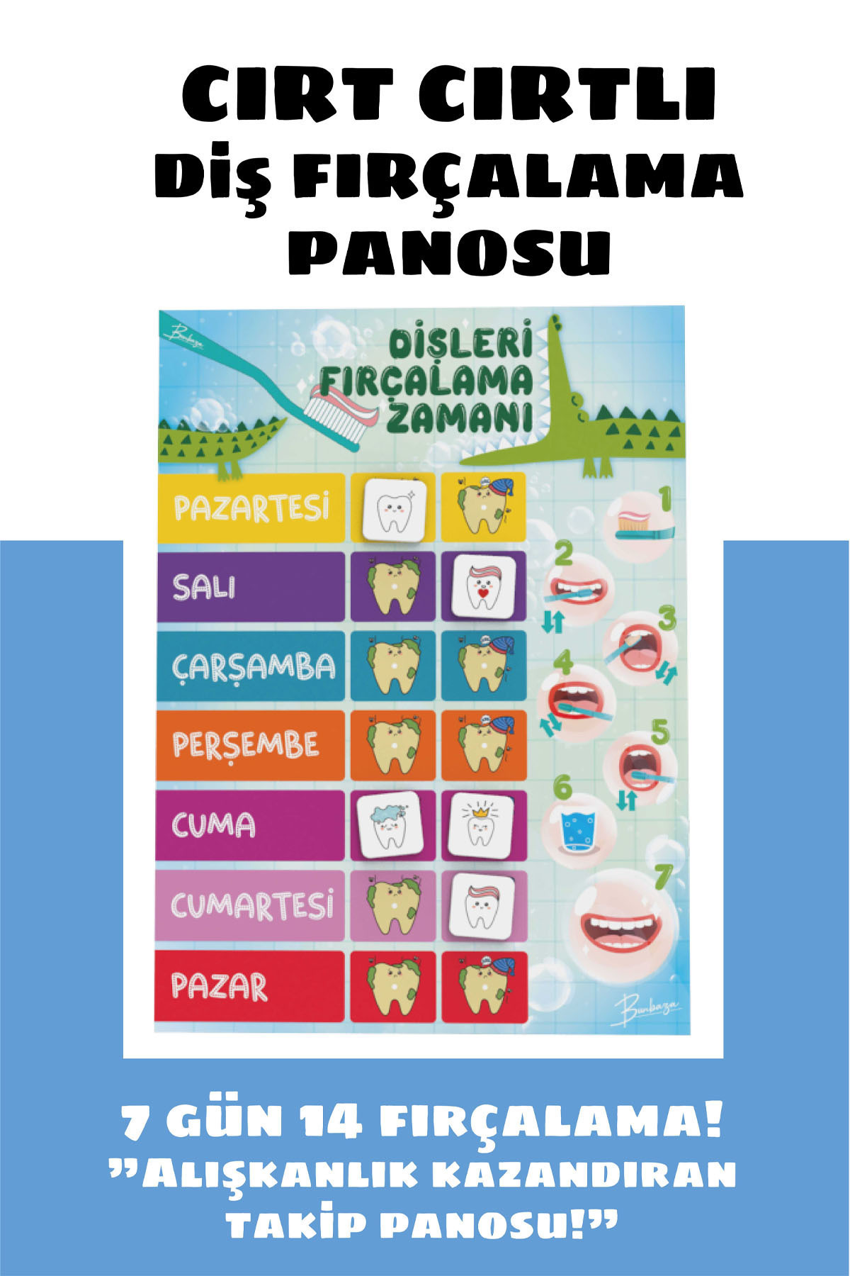 Bunbaza Cırt Cırtlı Diş Fırçalama Rutini Panosu, Diş Fırçalama Eğitim Panosu fotoğrafı 2 (önizleme)
