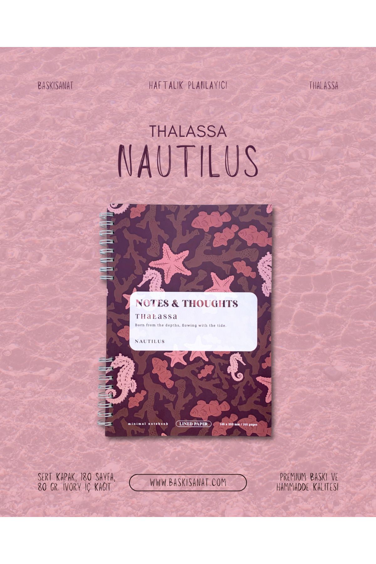 BASKISANAT Thalassa - Nautilus