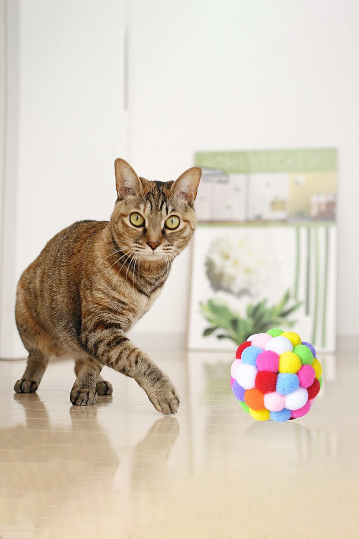 Beatitude Kedi Oyun Topu Renkli Ponponlu Sesli Kedi Oyun Topu Eğlenceli Vakit Geçirme Aktivite Oyuncağı